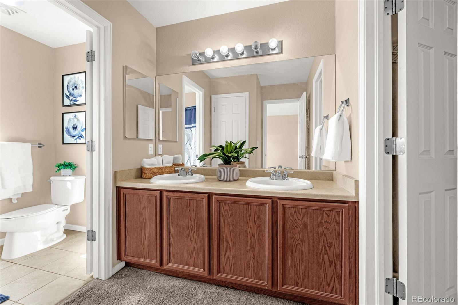 MLS Image #17 for 7470  sandy springs point,fountain, Colorado