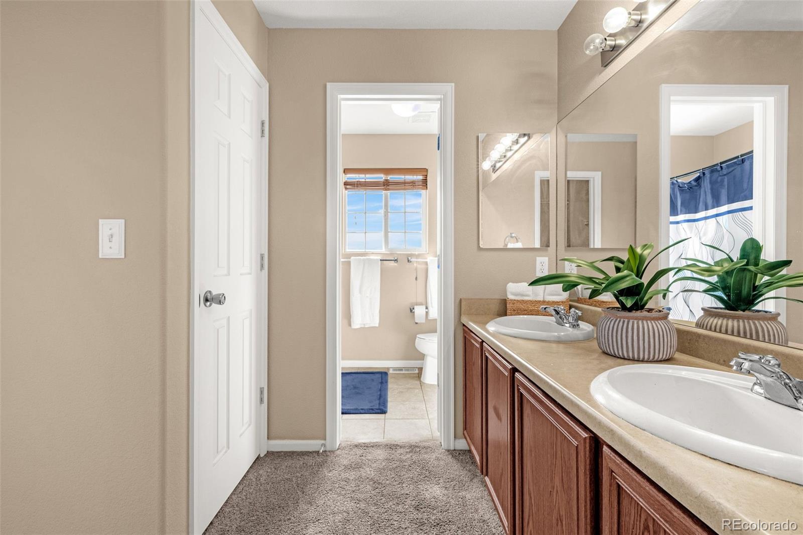 MLS Image #18 for 7470  sandy springs point,fountain, Colorado