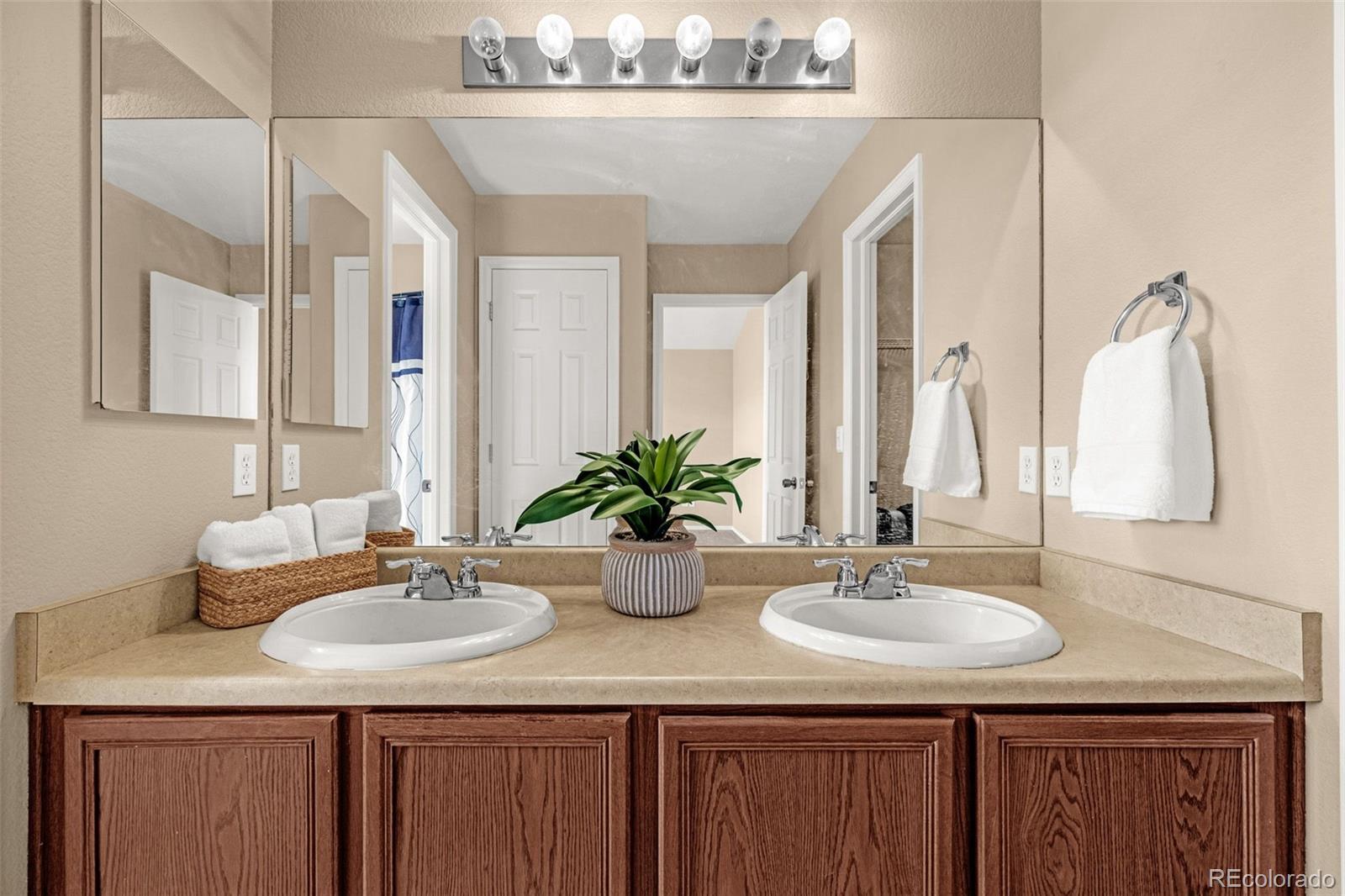 MLS Image #19 for 7470  sandy springs point,fountain, Colorado