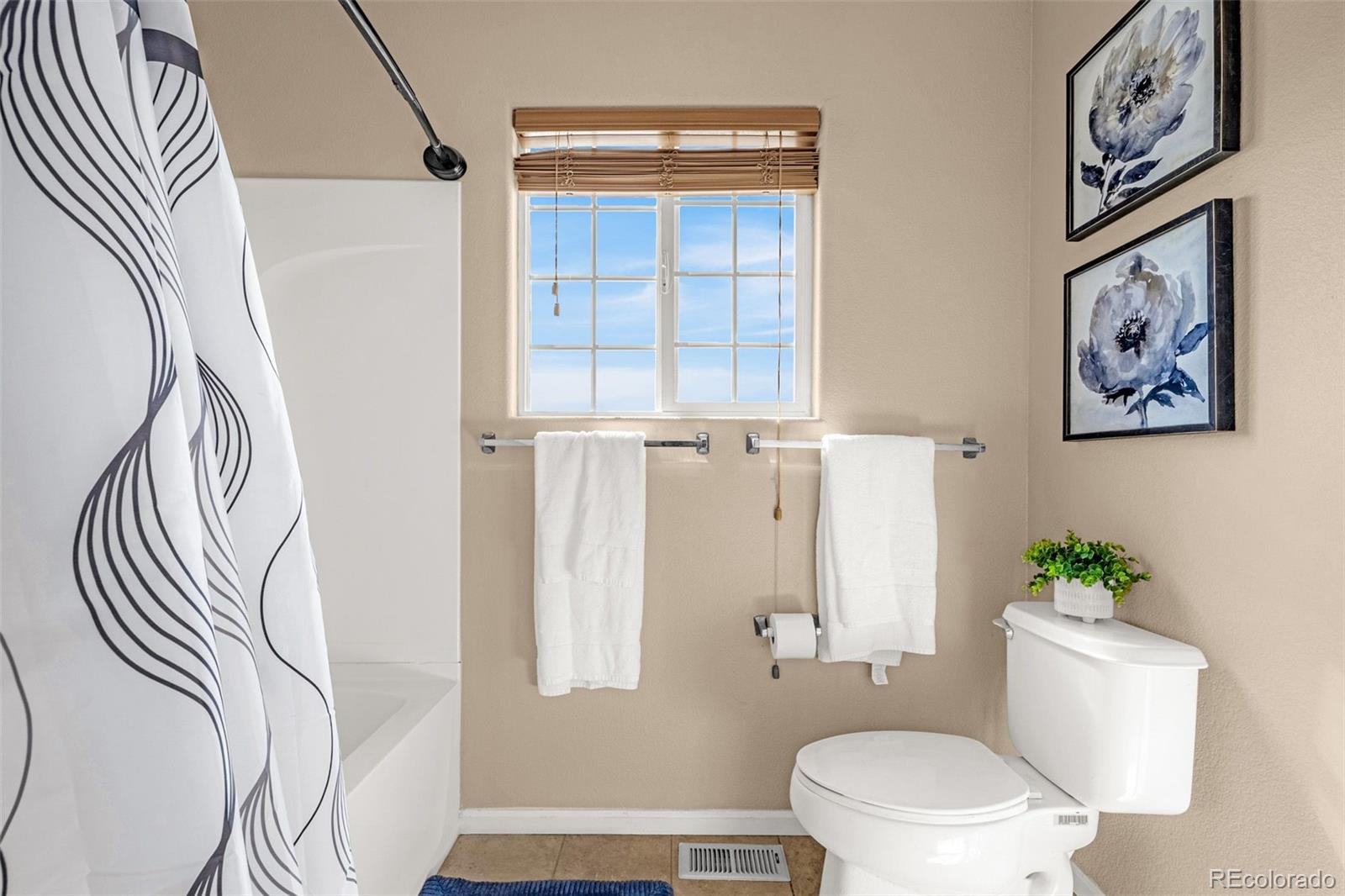 MLS Image #20 for 7470  sandy springs point,fountain, Colorado