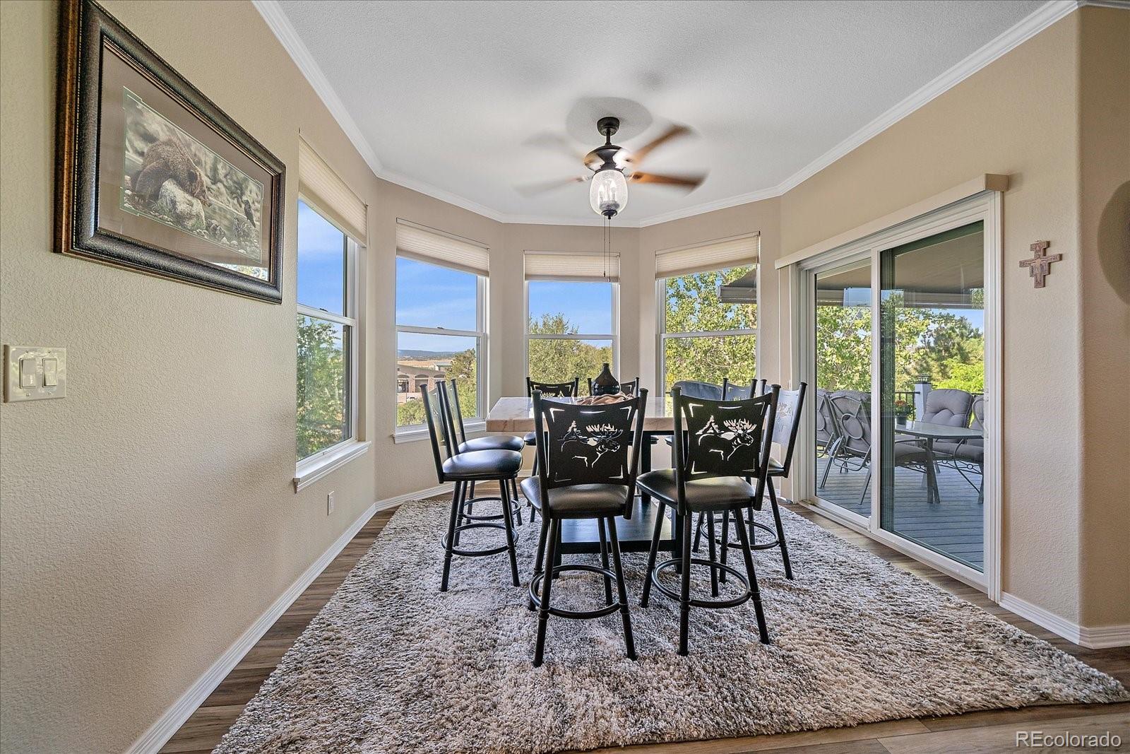 MLS Image #15 for 3615  crosshaven court,castle rock, Colorado