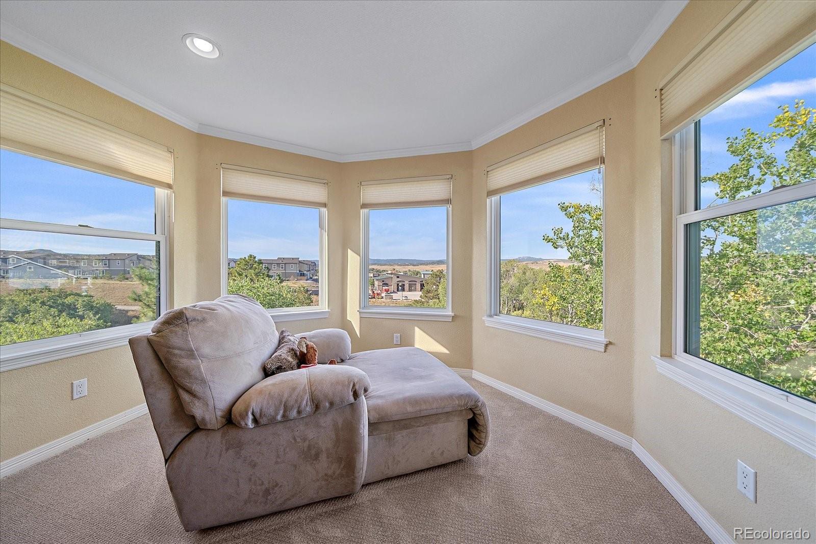 MLS Image #26 for 3615  crosshaven court,castle rock, Colorado