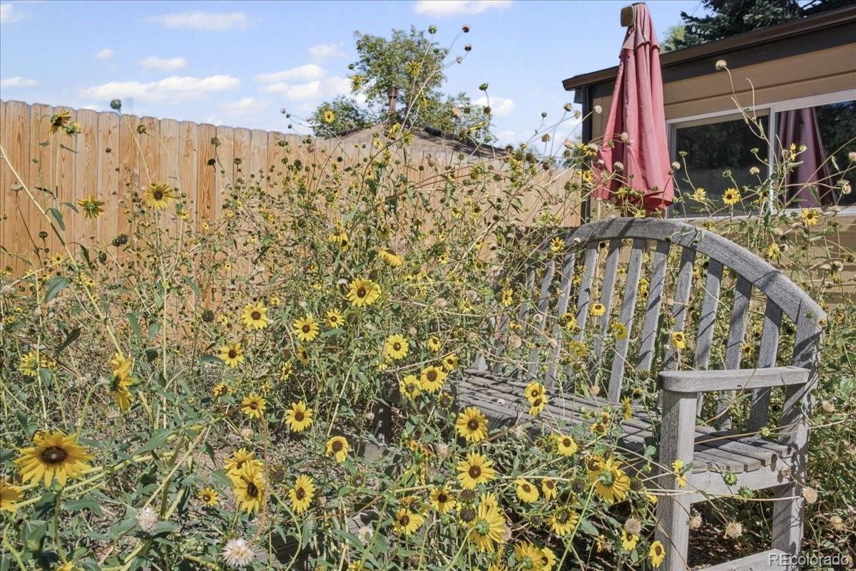 MLS Image #25 for 1341  florence street,aurora, Colorado