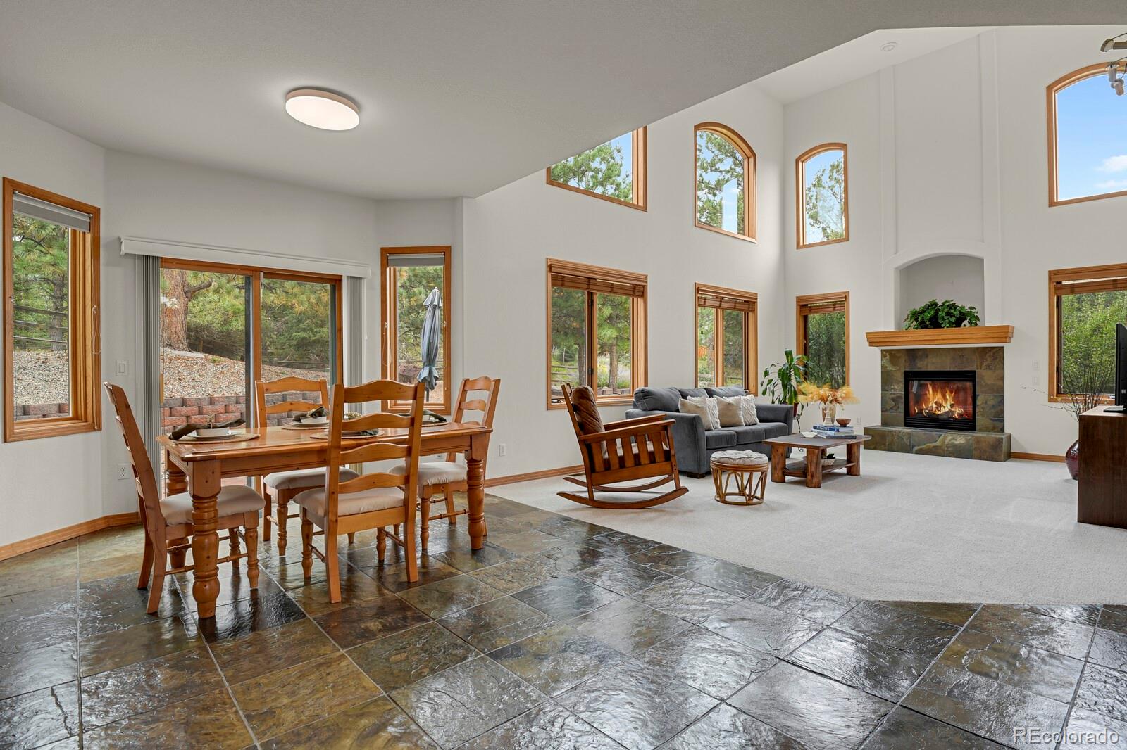 MLS Image #15 for 6236  riviera court,parker, Colorado