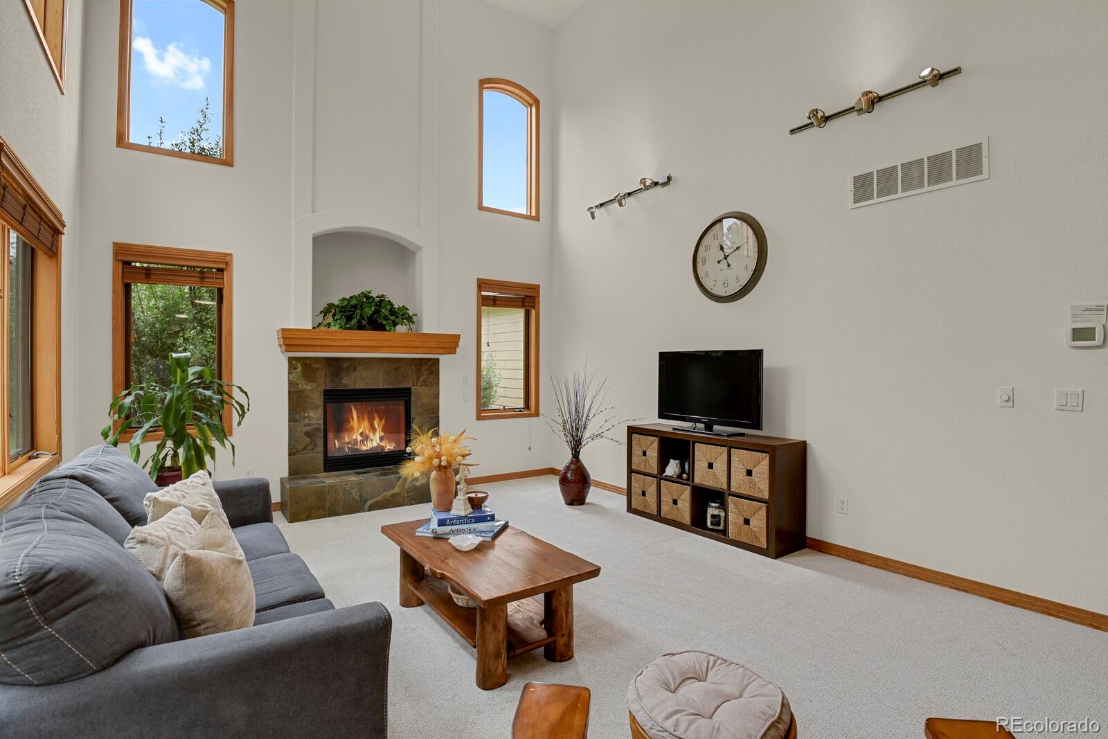 MLS Image #17 for 6236  riviera court,parker, Colorado