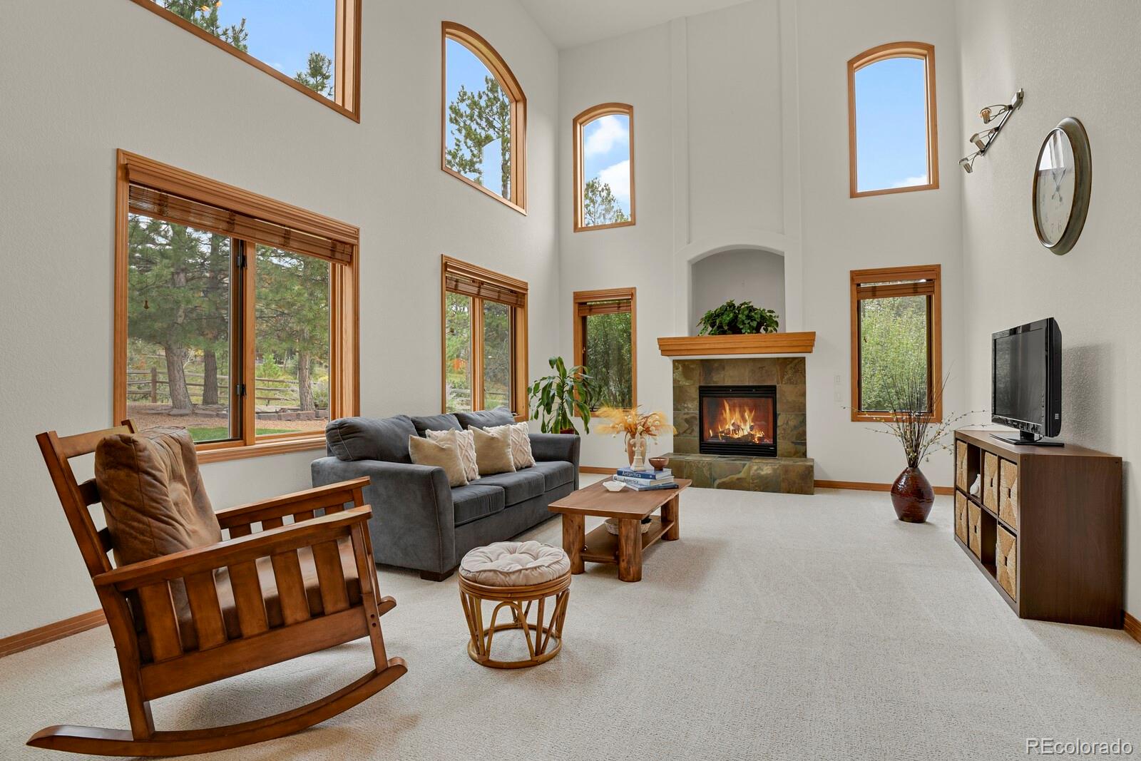 MLS Image #18 for 6236  riviera court,parker, Colorado