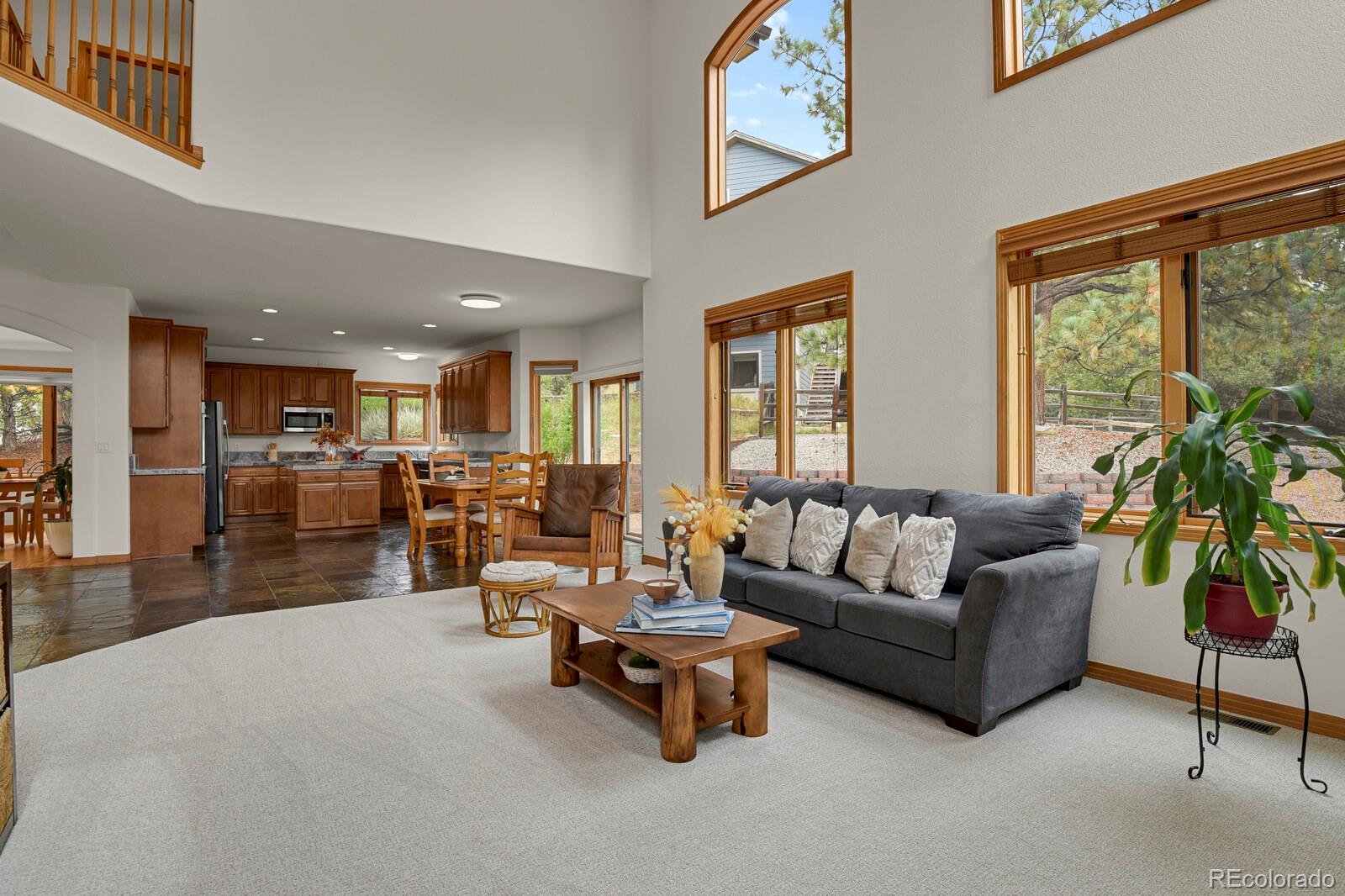 MLS Image #19 for 6236  riviera court,parker, Colorado