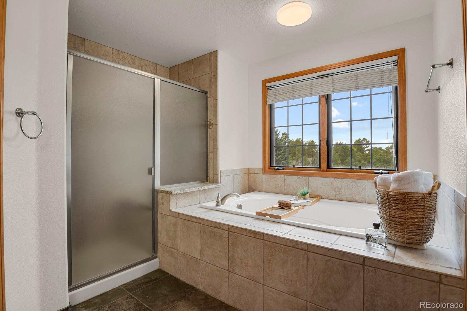 MLS Image #27 for 6236  riviera court,parker, Colorado