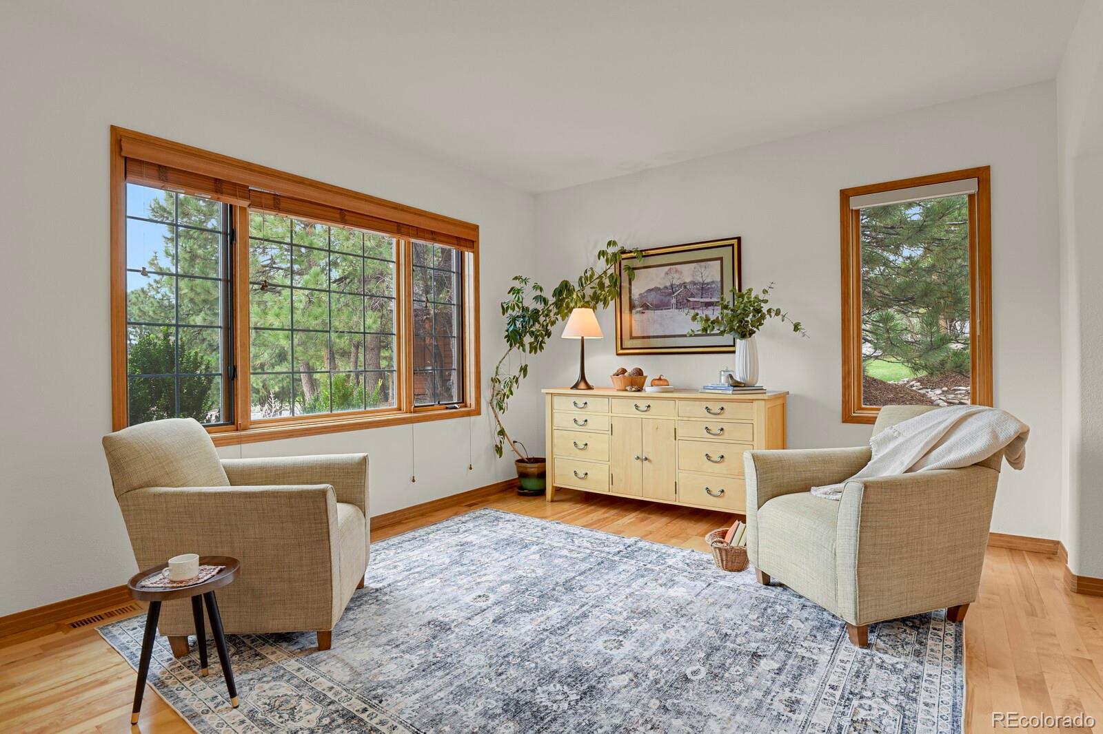 MLS Image #3 for 6236  riviera court,parker, Colorado