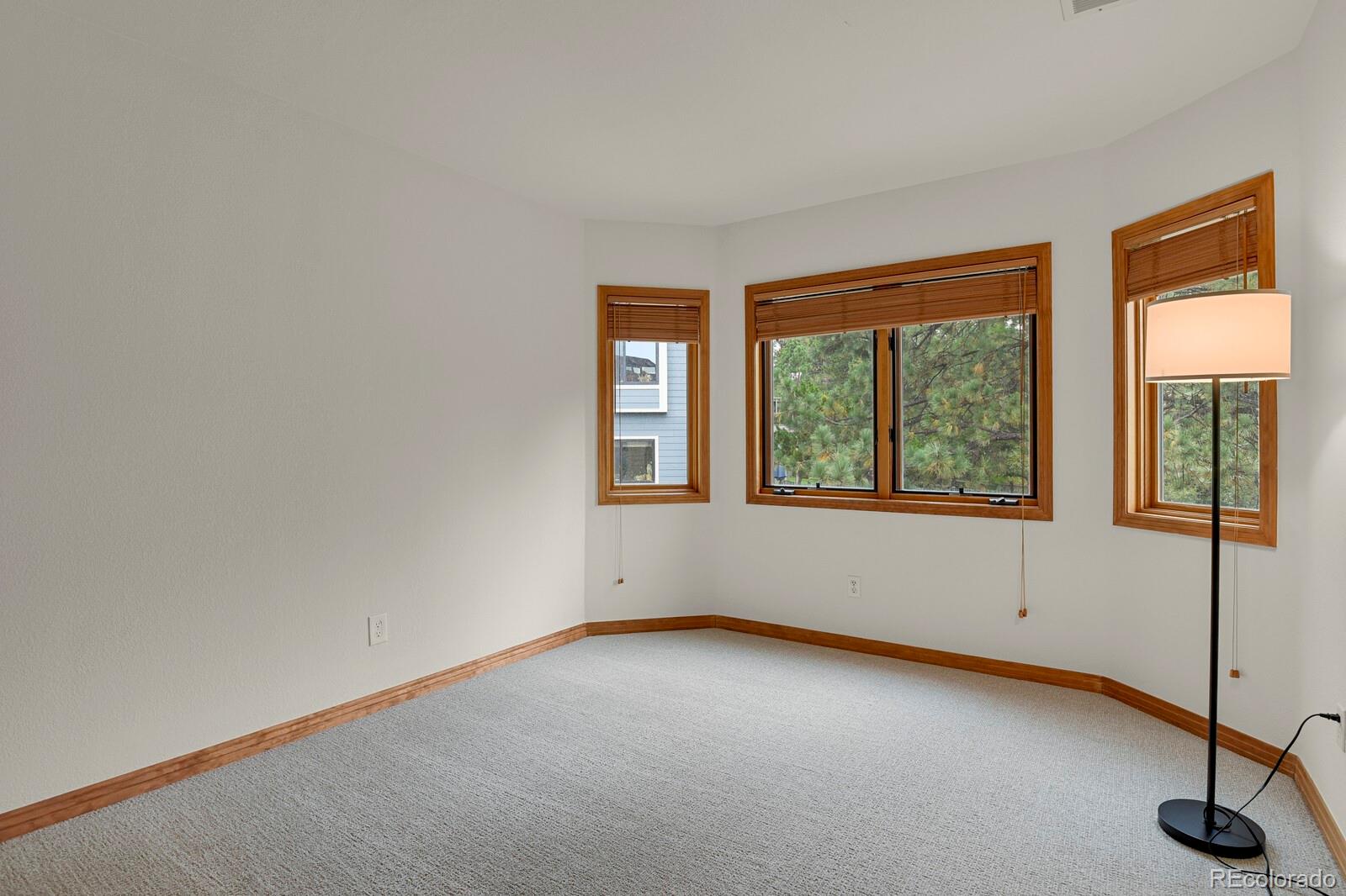 MLS Image #30 for 6236  riviera court,parker, Colorado