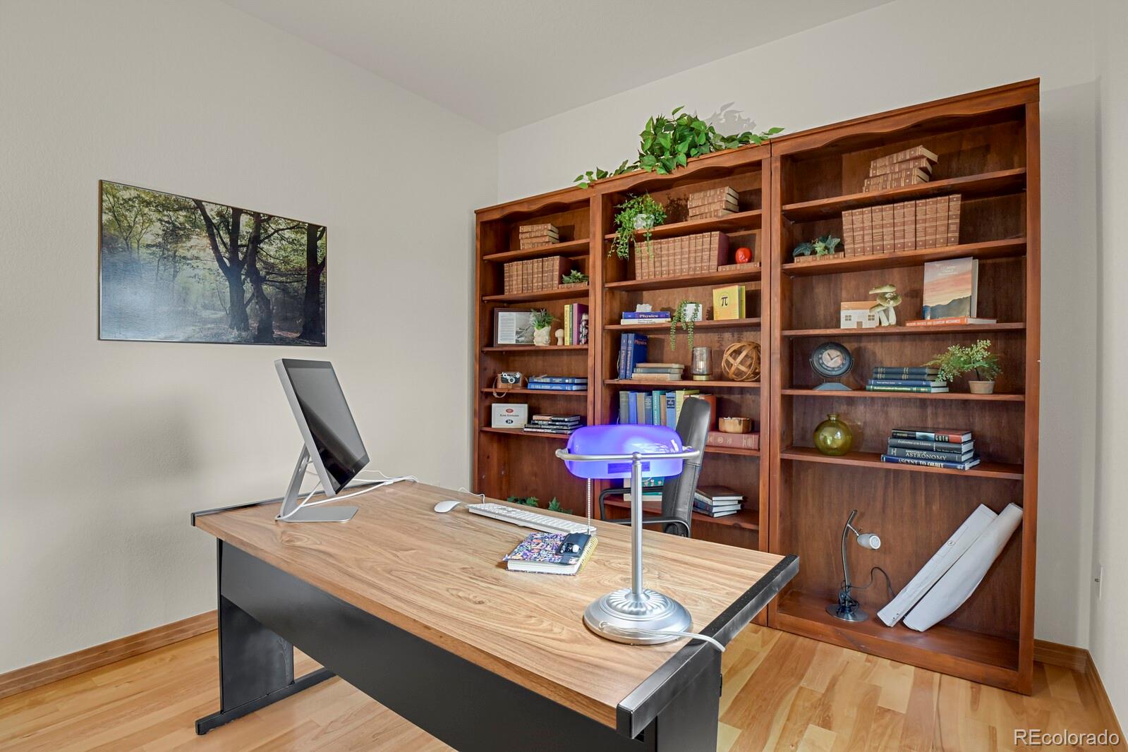 MLS Image #5 for 6236  riviera court,parker, Colorado