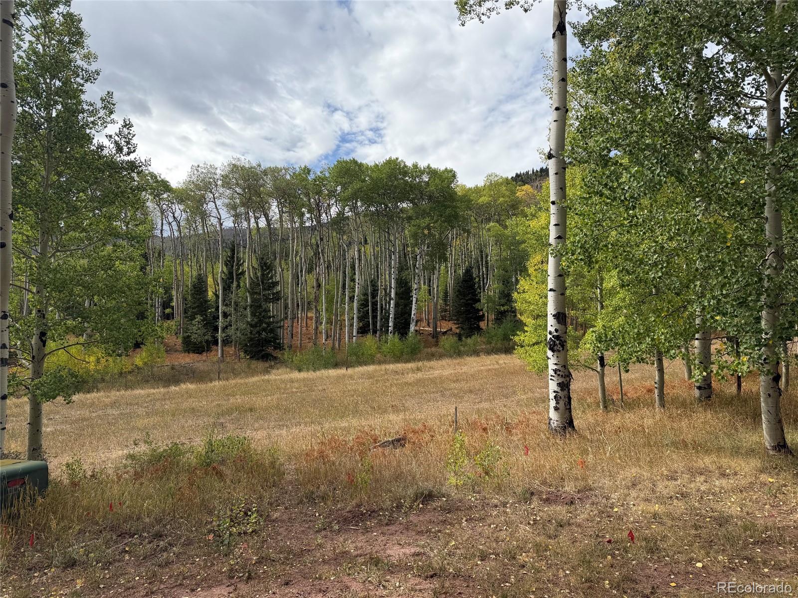MLS Image #22 for 1420  panadero avenue ,cuchara, Colorado