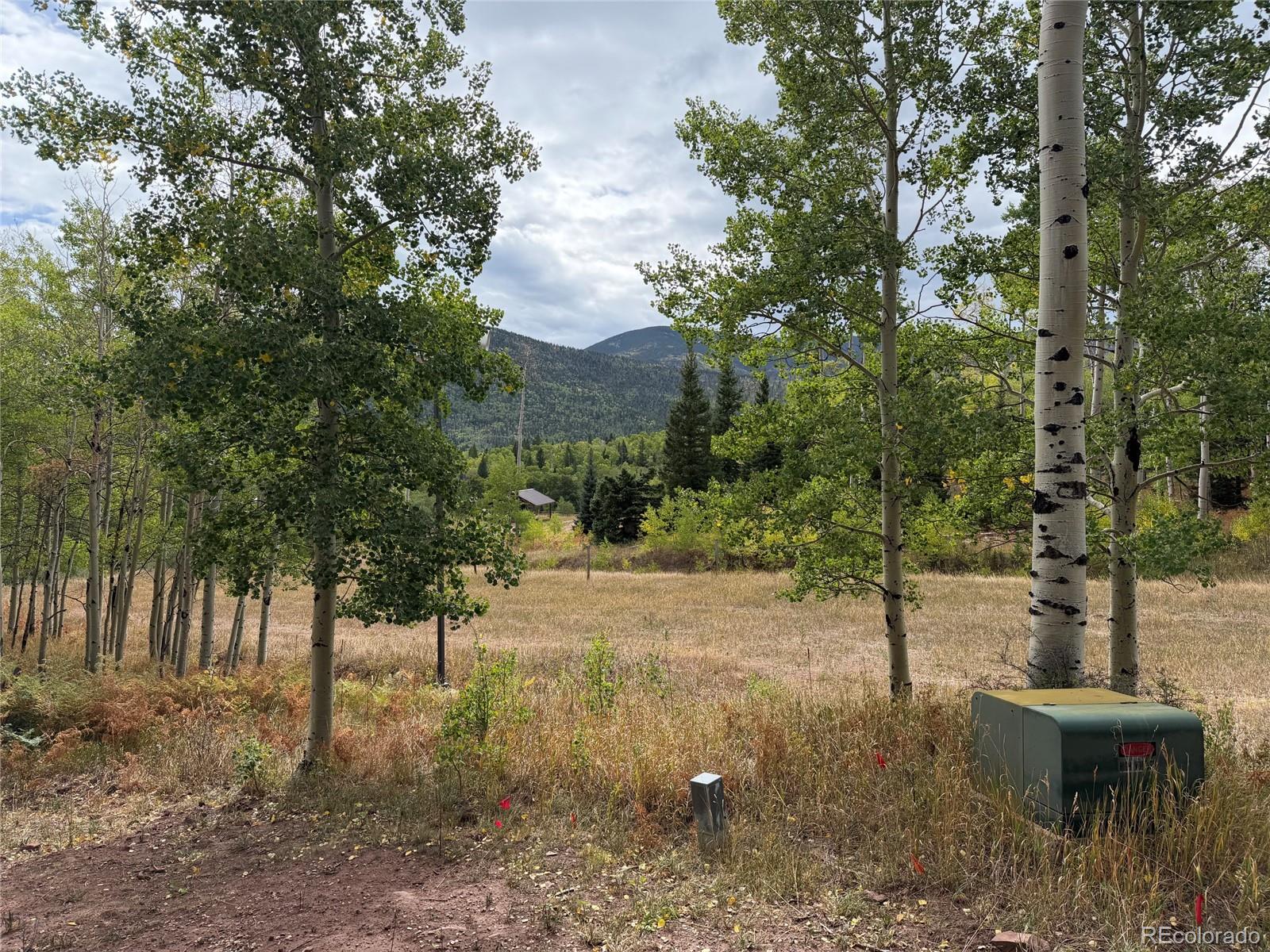 MLS Image #23 for 1420  panadero avenue ,cuchara, Colorado