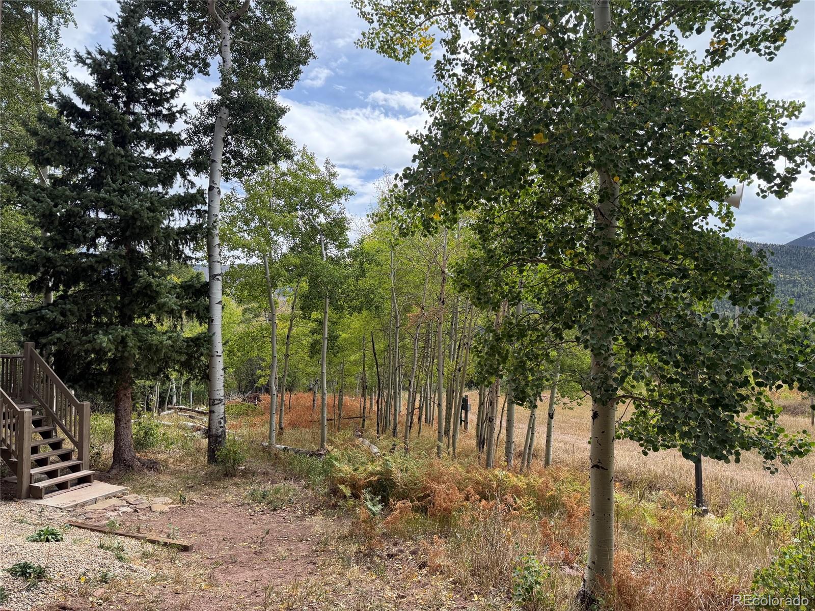 MLS Image #24 for 1420  panadero avenue ,cuchara, Colorado