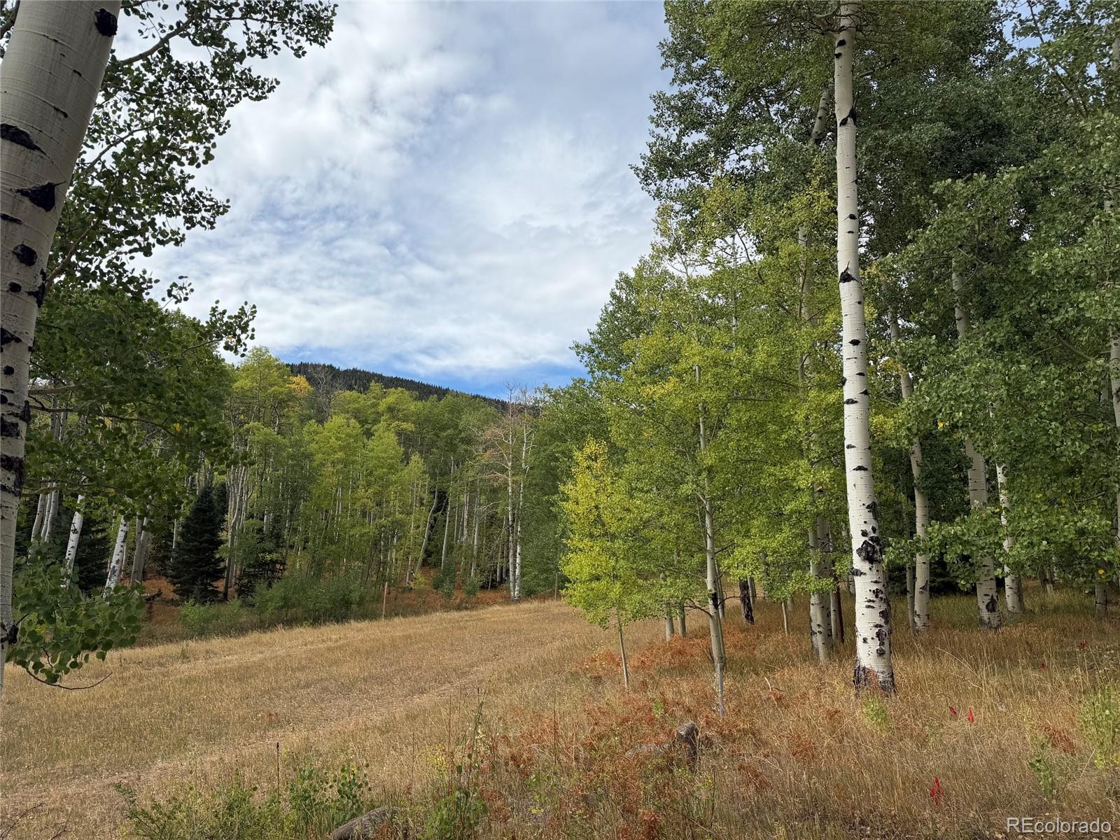 MLS Image #25 for 1420  panadero avenue ,cuchara, Colorado