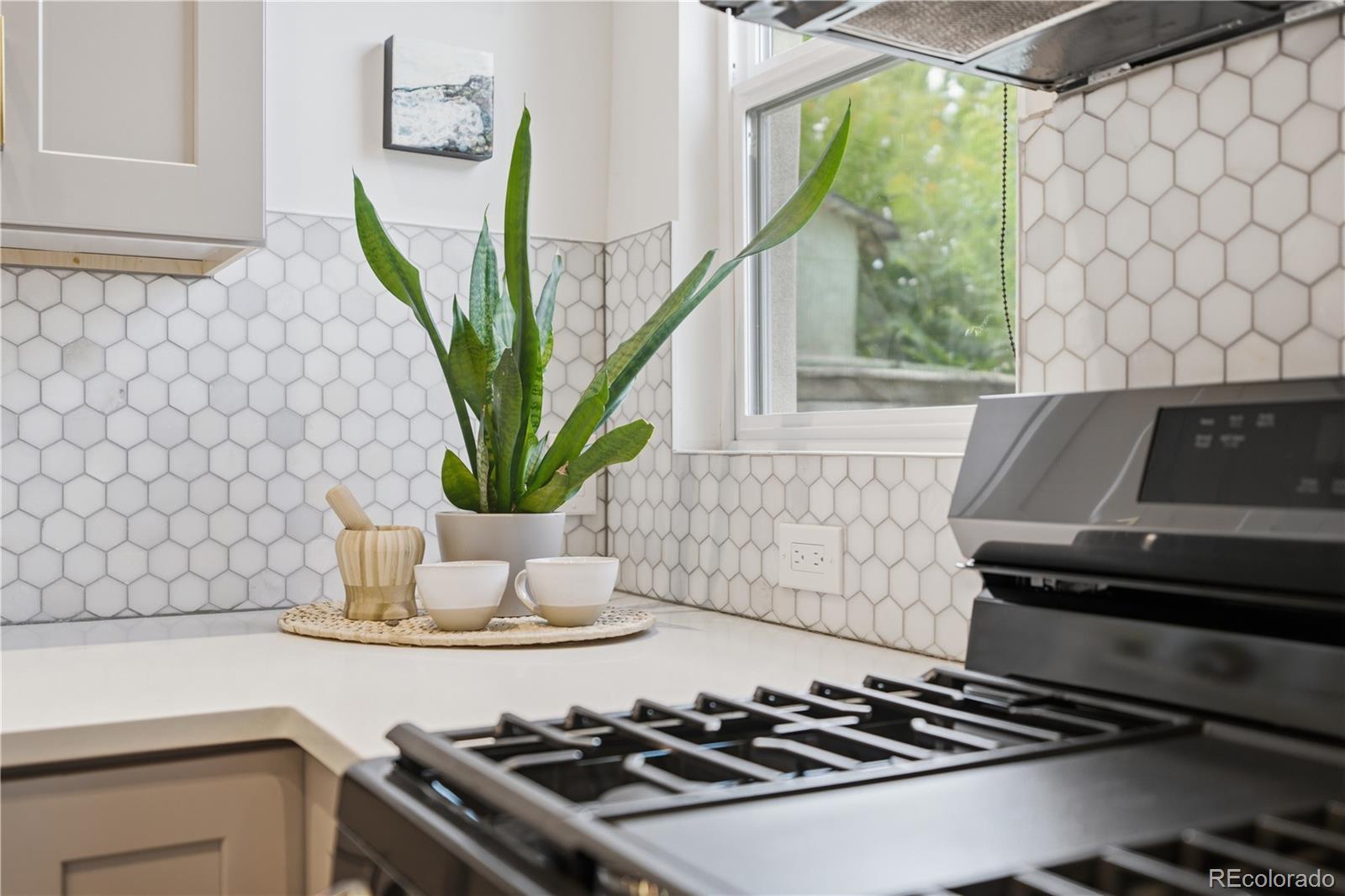 MLS Image #18 for 1419 s acoma street,denver, Colorado