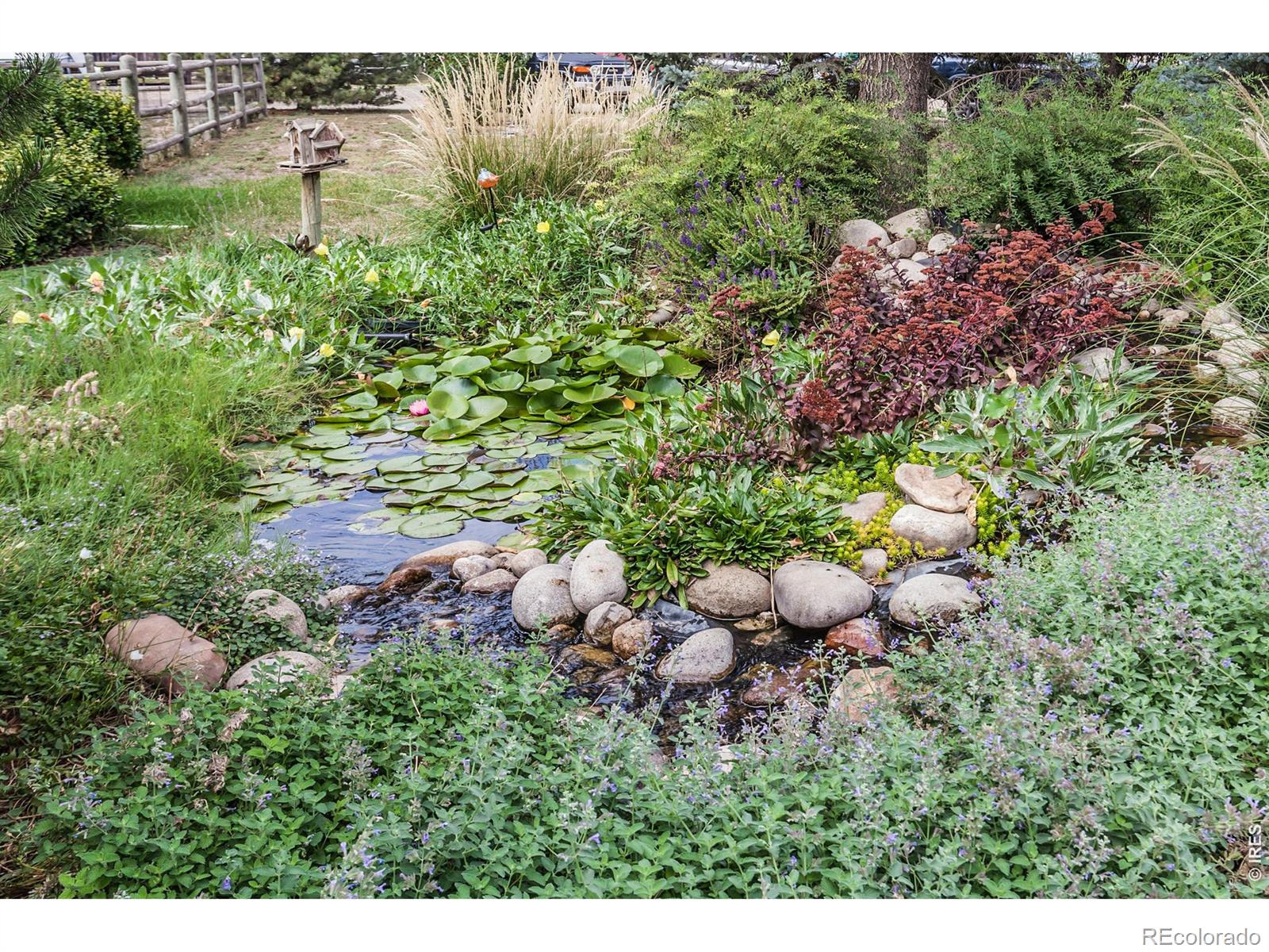 MLS Image #30 for 5250  4th avenue,timnath, Colorado
