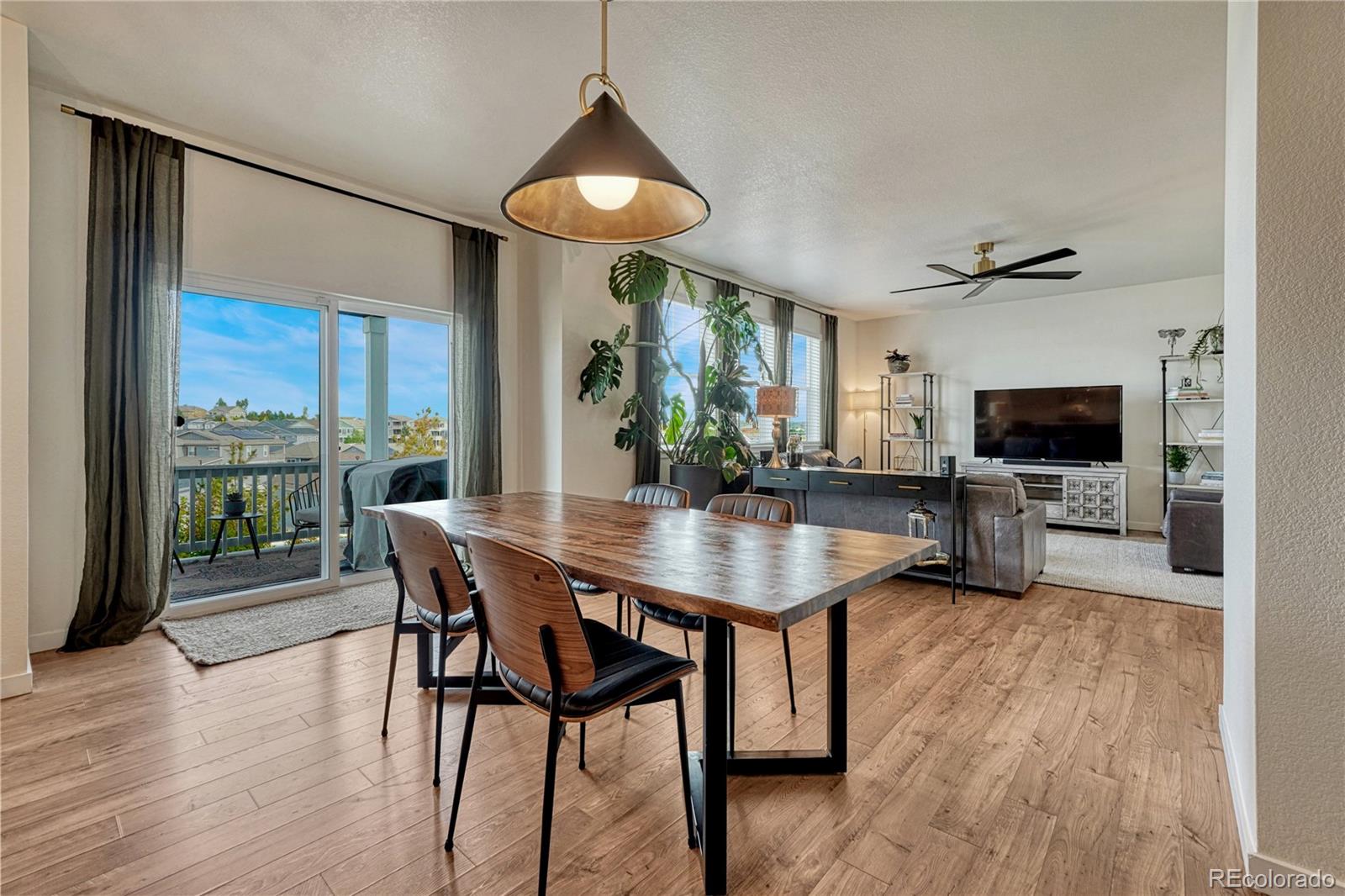 MLS Image #13 for 2249  rosette lane,castle rock, Colorado