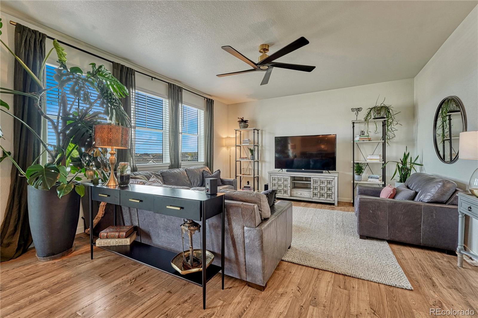 MLS Image #14 for 2249  rosette lane,castle rock, Colorado