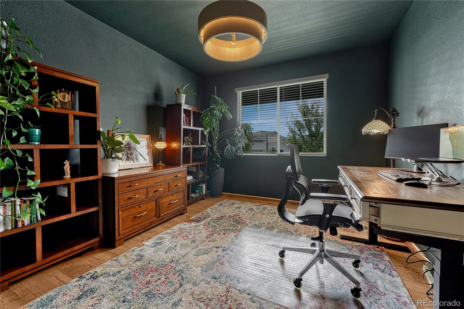 MLS Image #17 for 2249  rosette lane,castle rock, Colorado