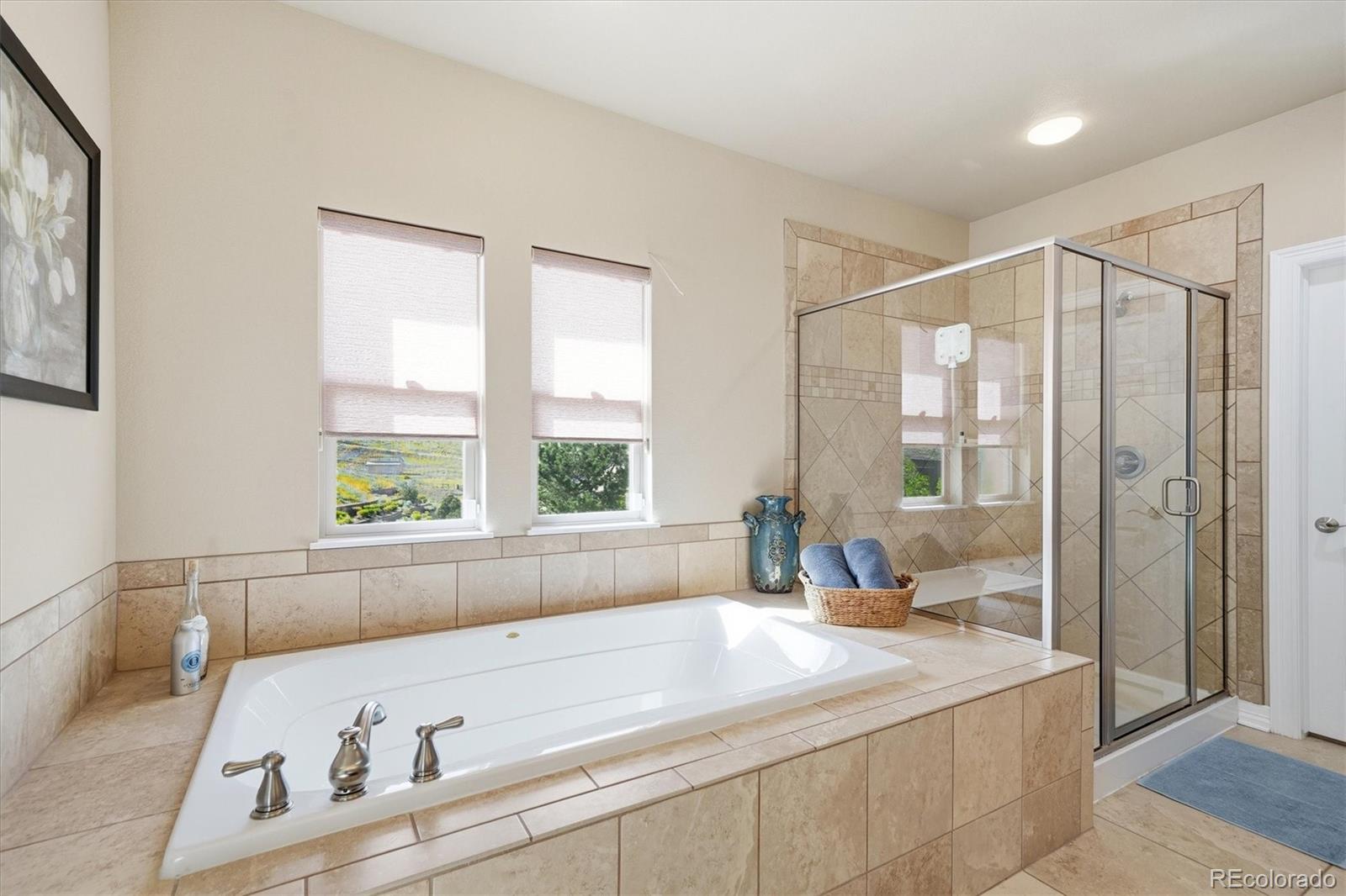MLS Image #20 for 10523  rivington court,lone tree, Colorado