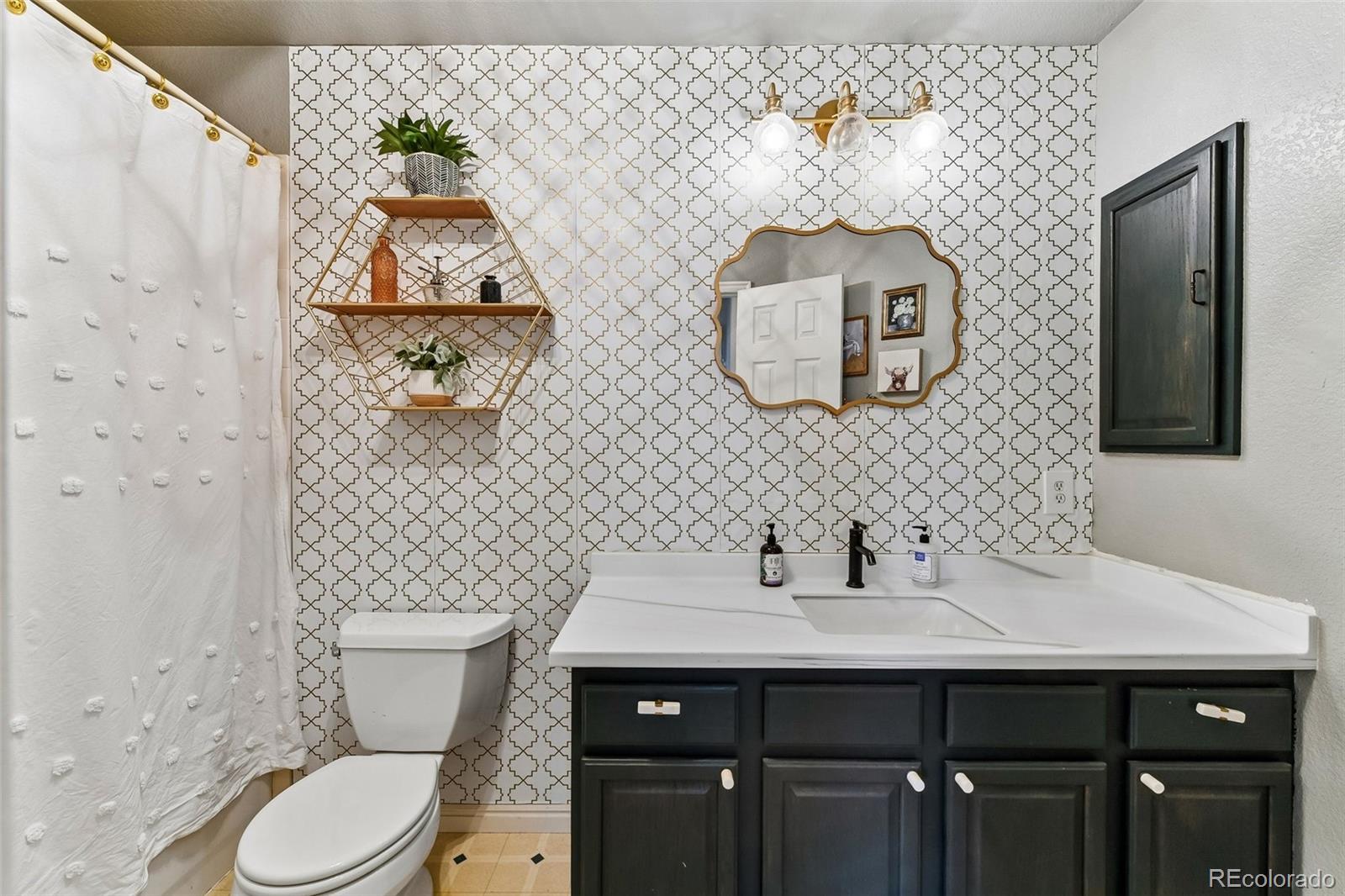 MLS Image #16 for 16250  del ray court,brighton, Colorado