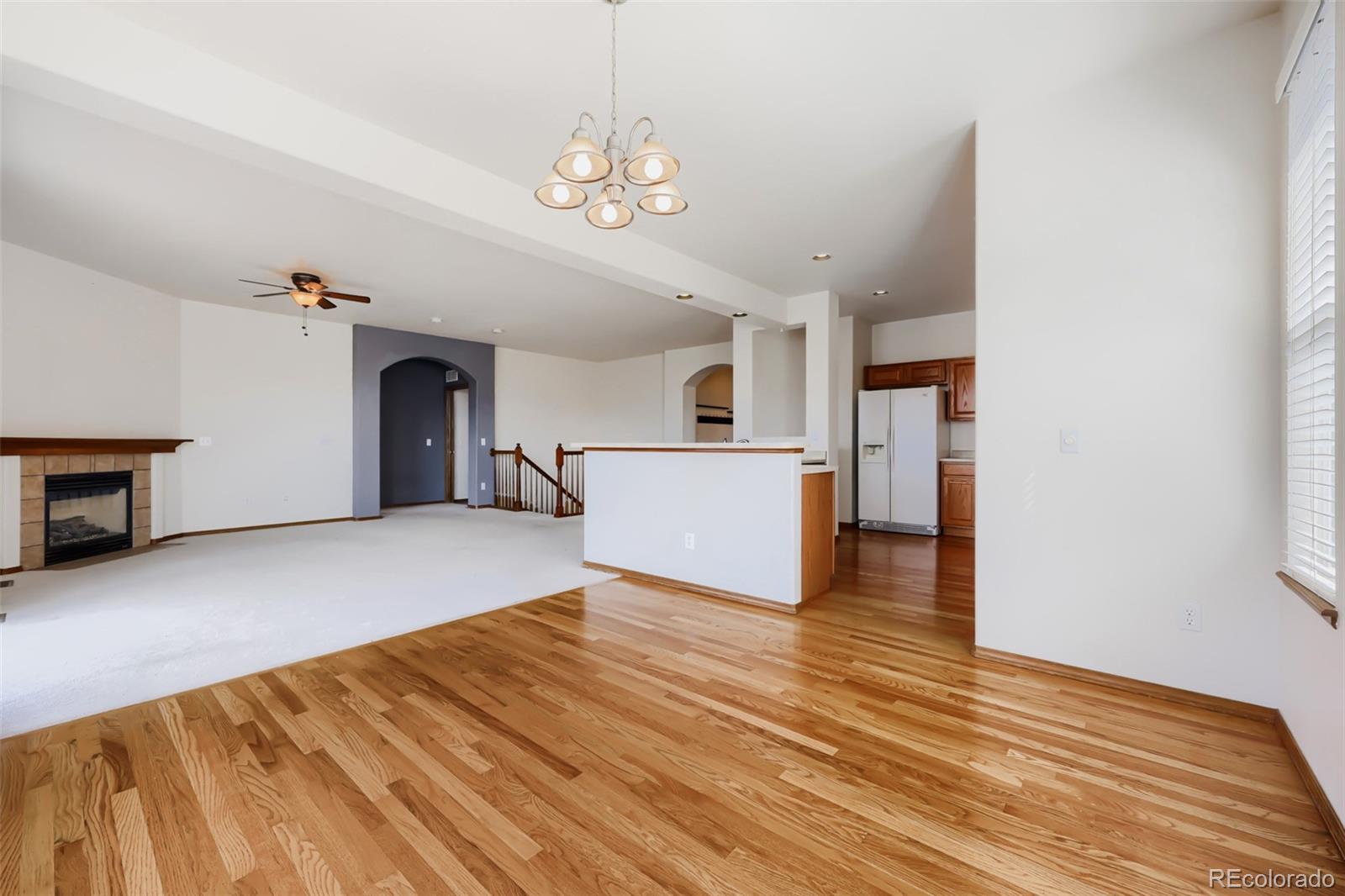 MLS Image #8 for 578  burke hollow drive,monument, Colorado