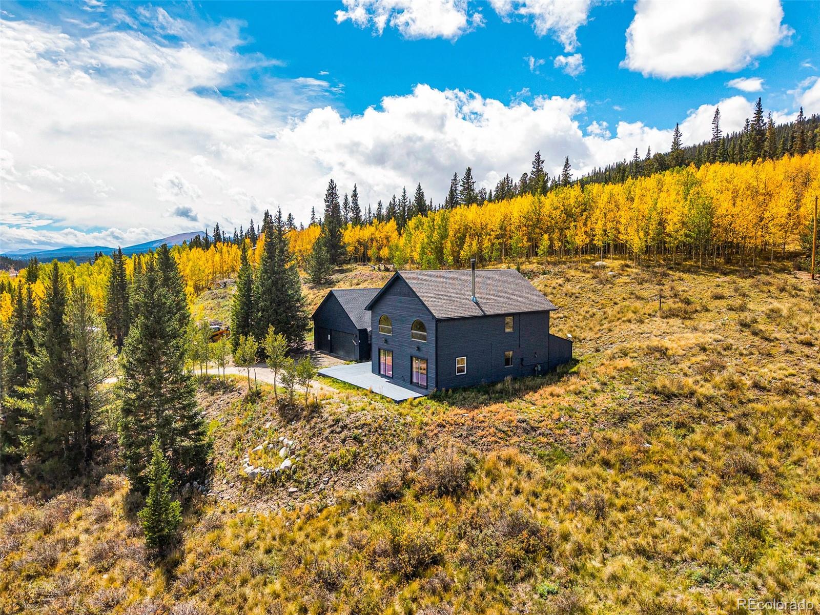 MLS Image #0 for 1881  river drive,alma, Colorado