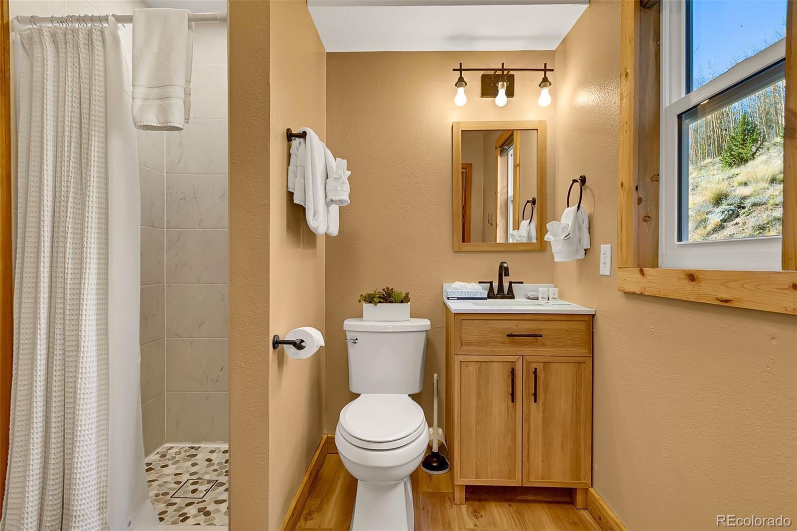 MLS Image #21 for 1881  river drive,alma, Colorado