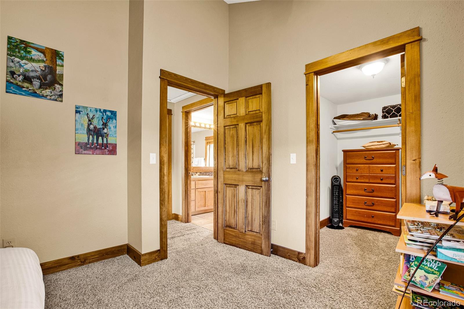 MLS Image #32 for 1881  river drive,alma, Colorado