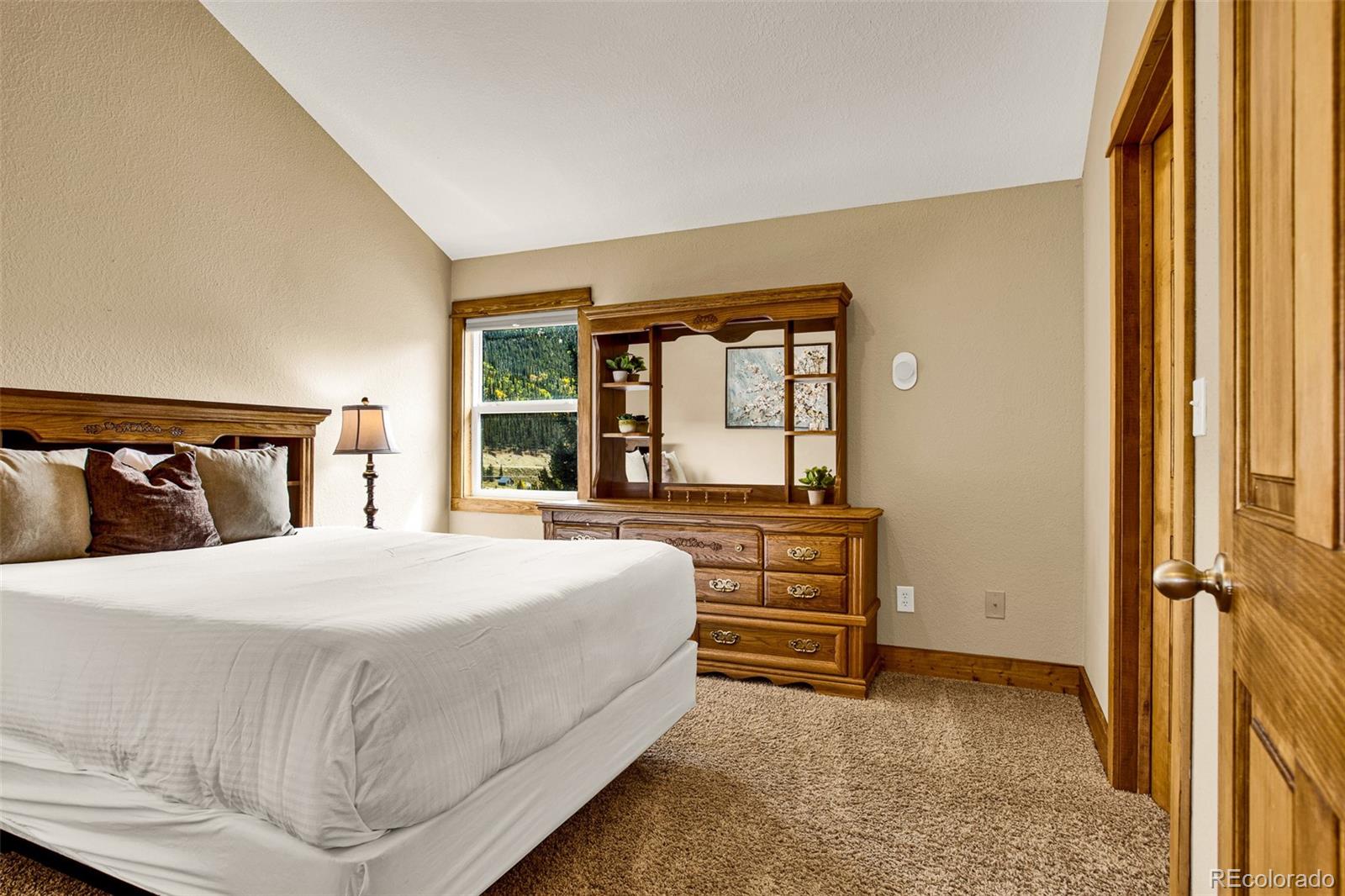 MLS Image #37 for 1881  river drive,alma, Colorado