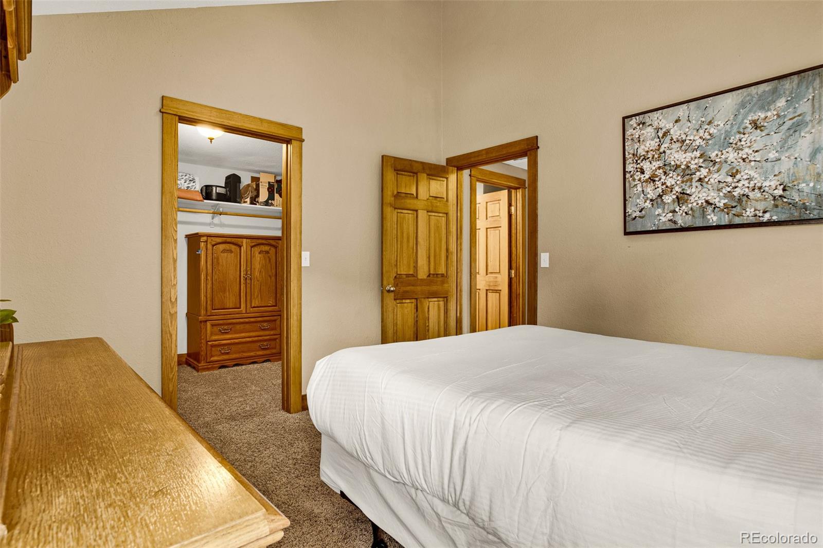 MLS Image #38 for 1881  river drive,alma, Colorado