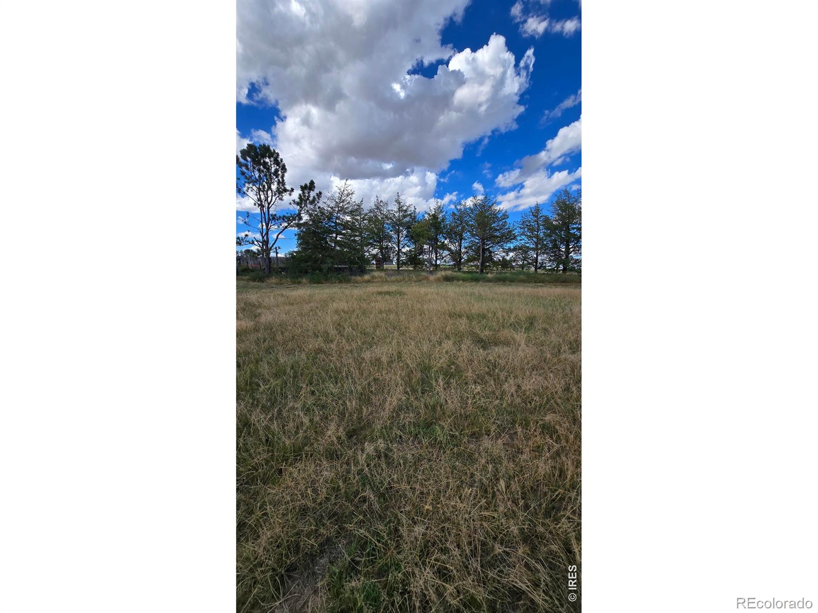 MLS Image #30 for 13700  sunny knolls lane,sterling, Colorado