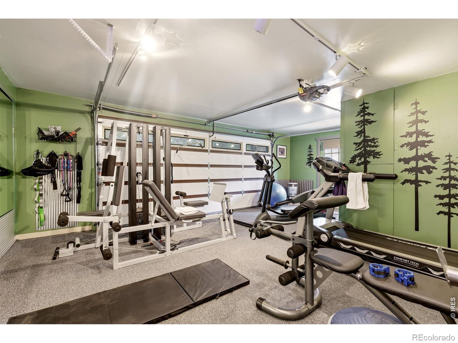 MLS Image #35 for 102  insmont drive,bailey, Colorado
