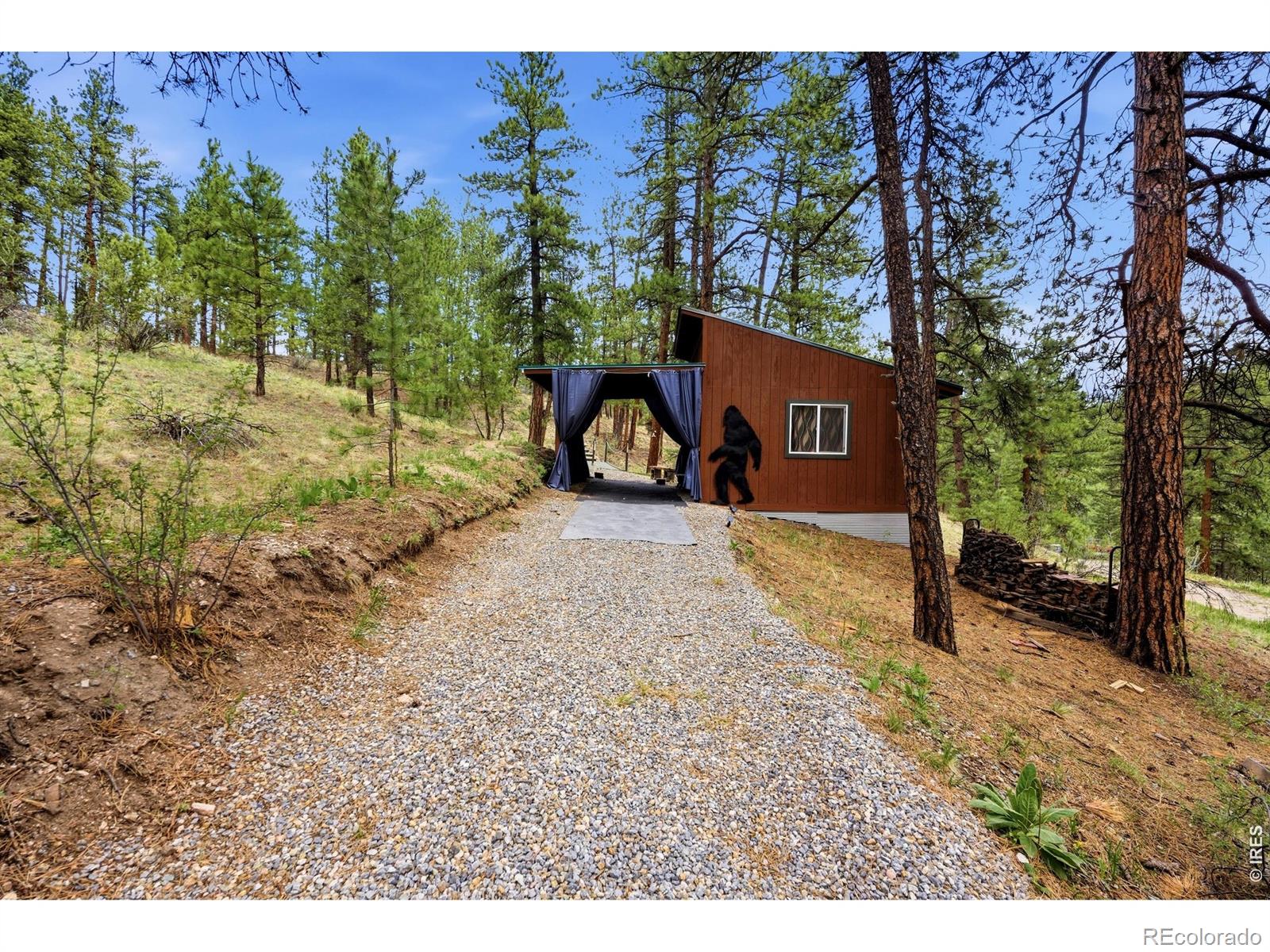 MLS Image #38 for 102  insmont drive,bailey, Colorado