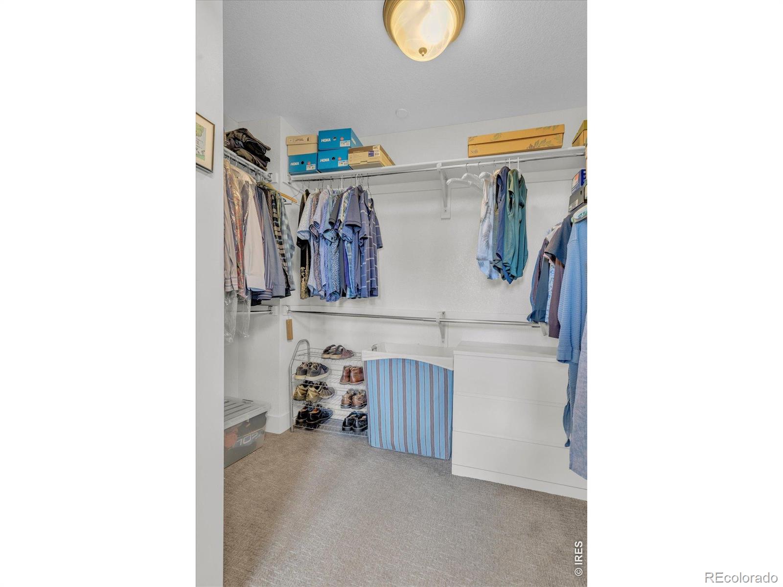 MLS Image #32 for 1082  griffith street,louisville, Colorado