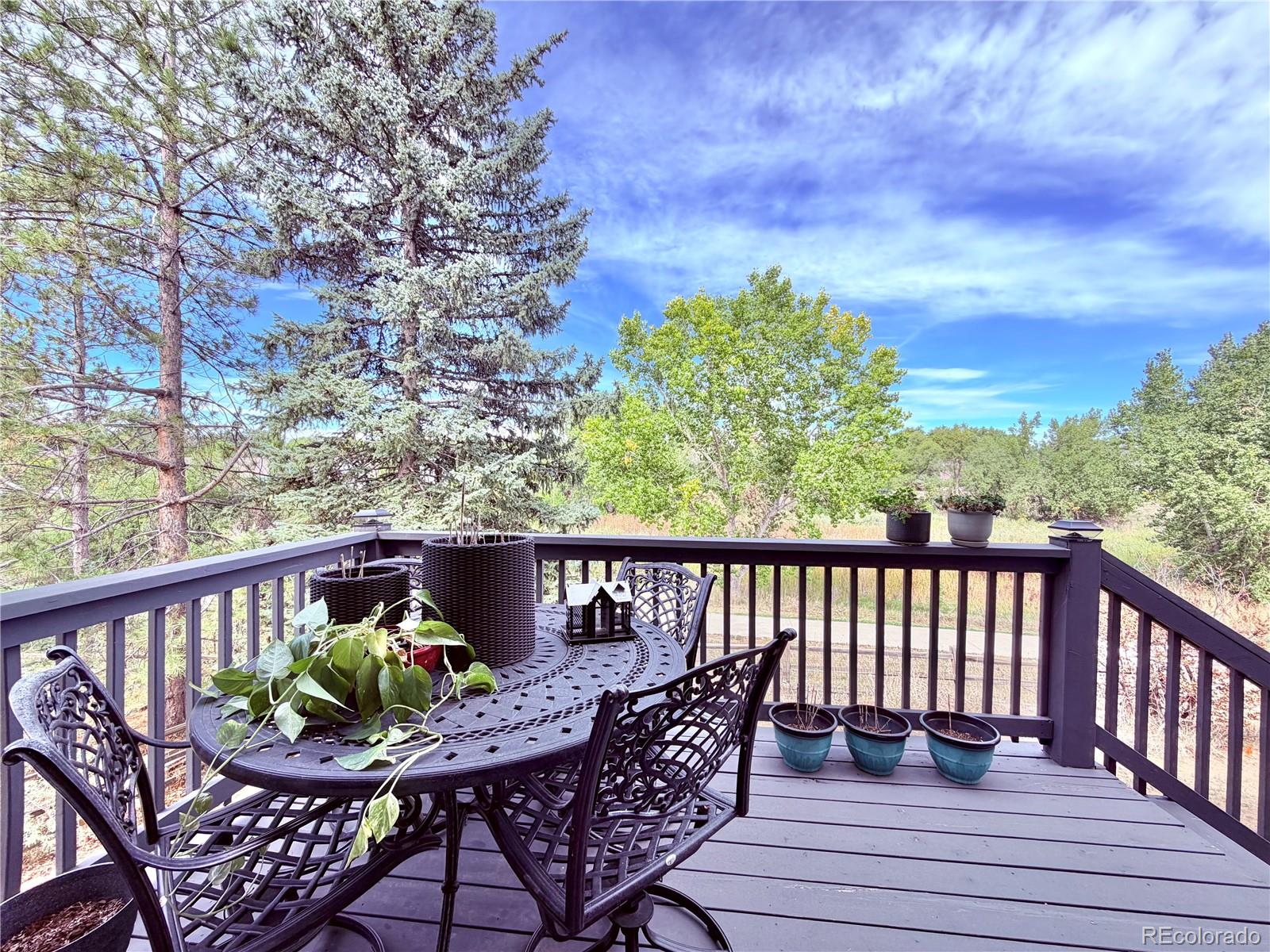 MLS Image #29 for 3635 s truckee way,aurora, Colorado