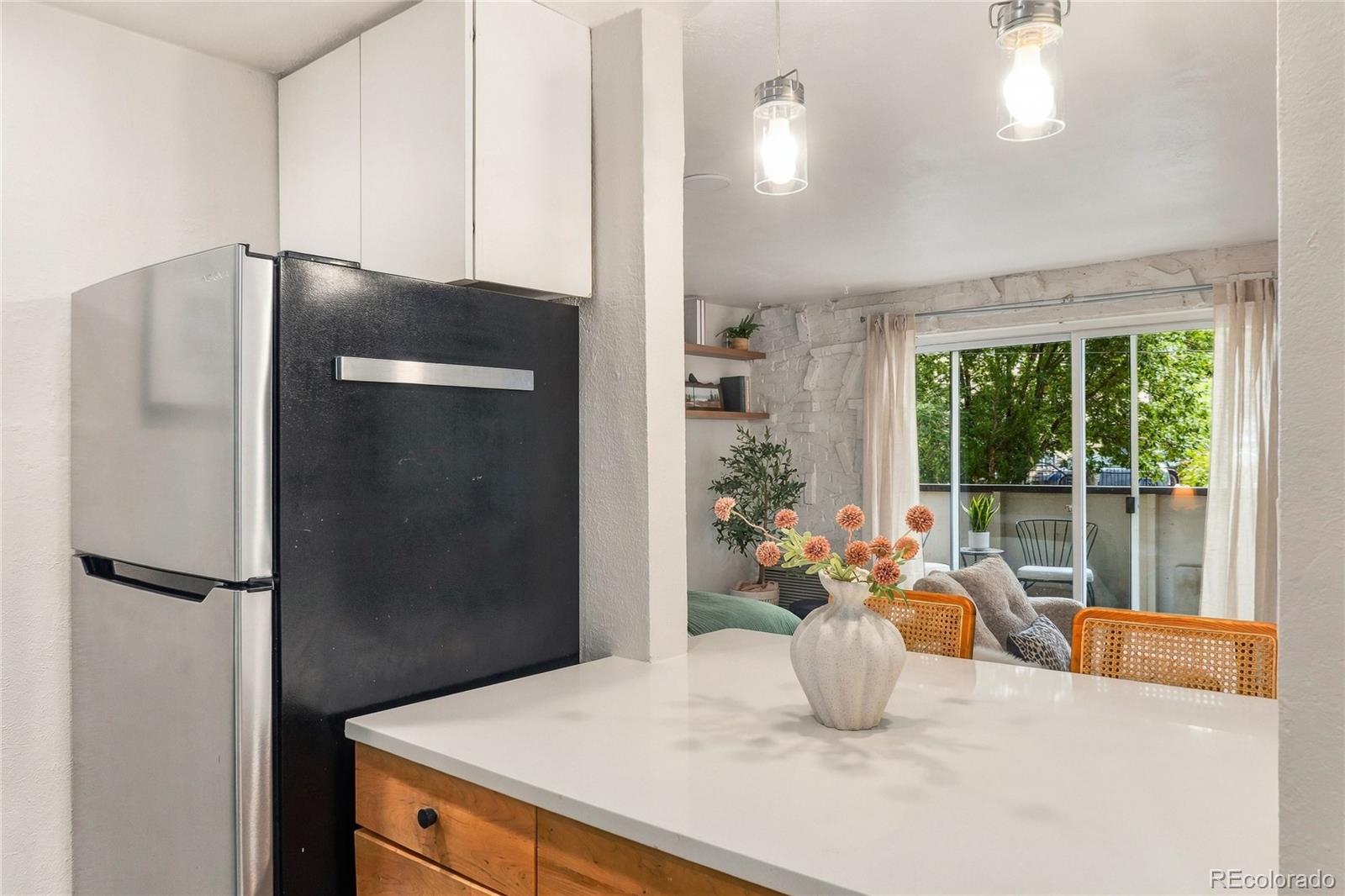 MLS Image #8 for 1270 n marion street,denver, Colorado