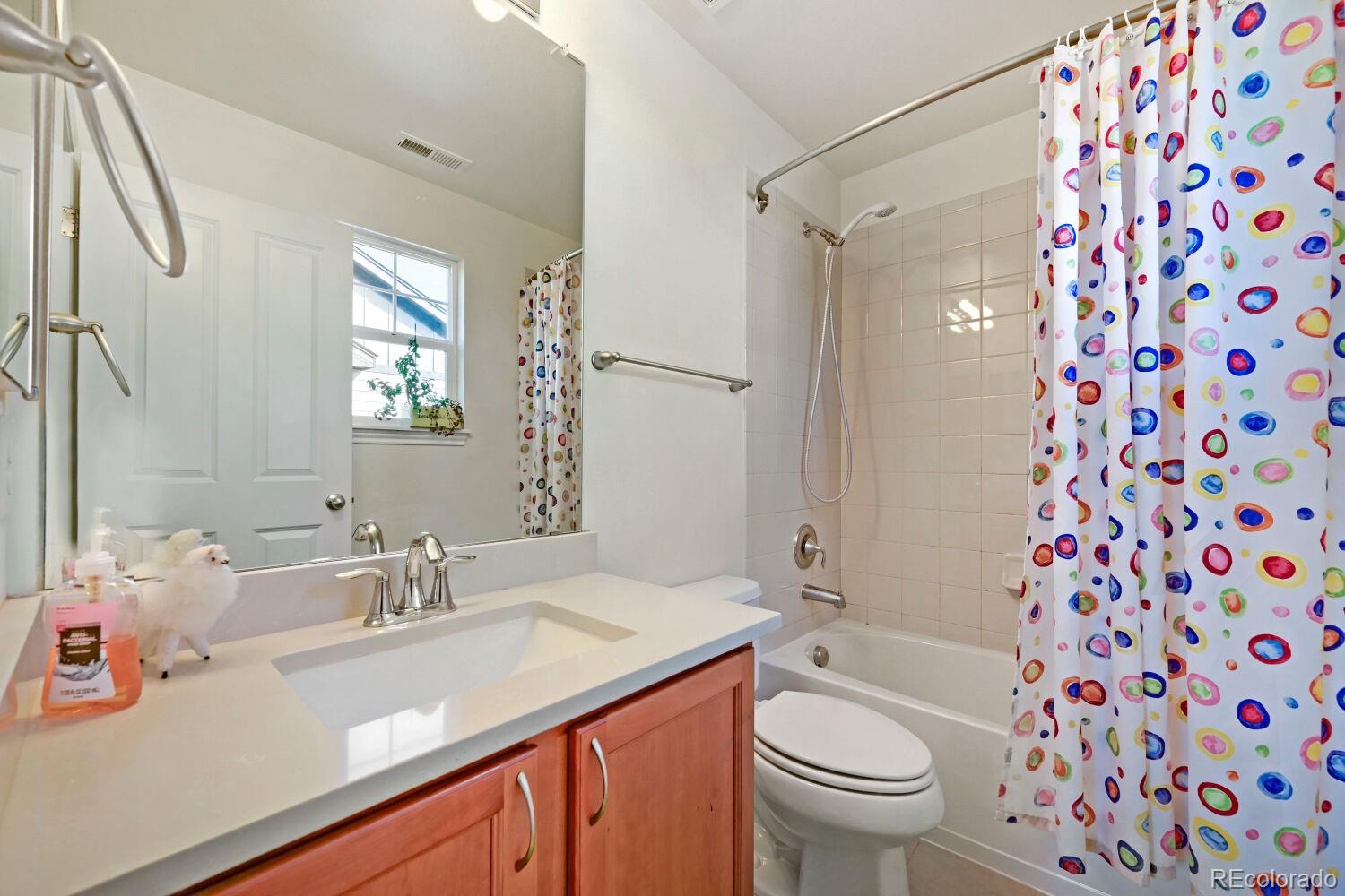 MLS Image #29 for 87  ortega court,erie, Colorado