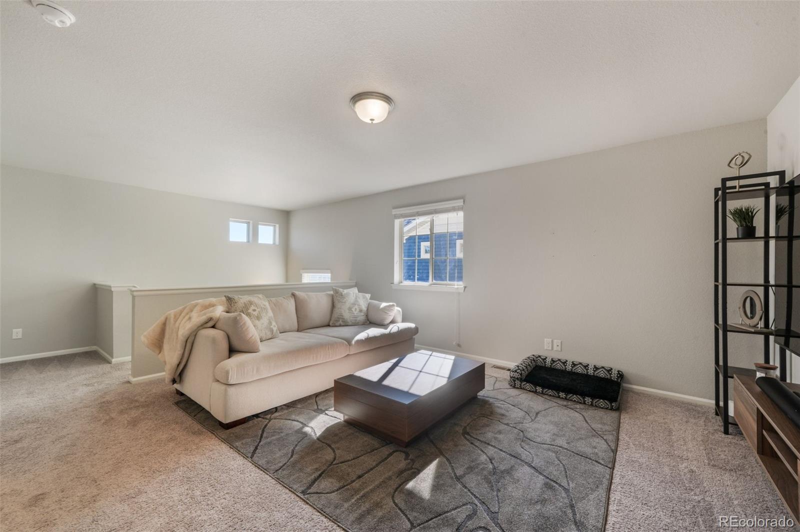 MLS Image #20 for 8772  briar brush lane,colorado springs, Colorado