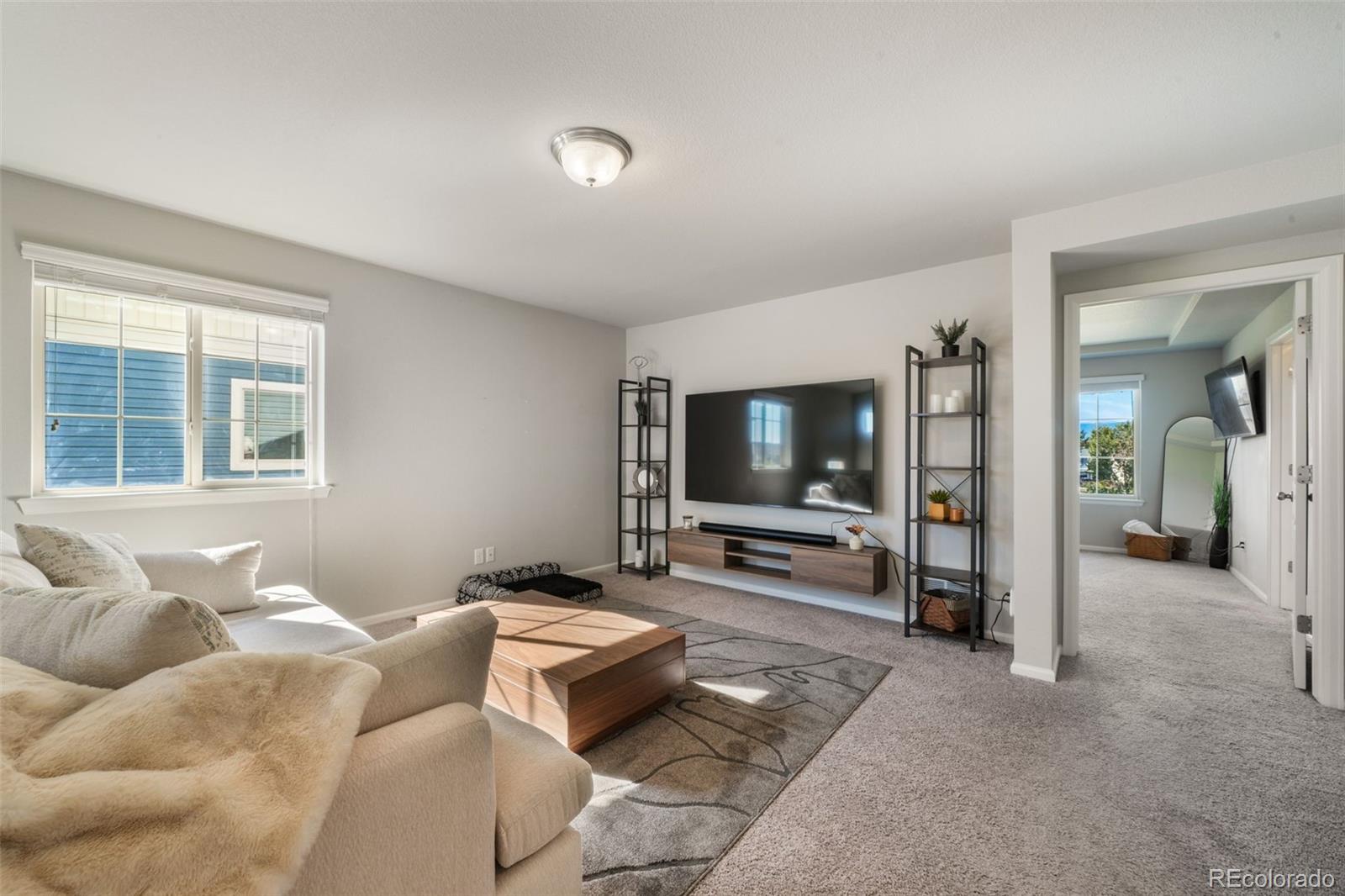 MLS Image #21 for 8772  briar brush lane,colorado springs, Colorado