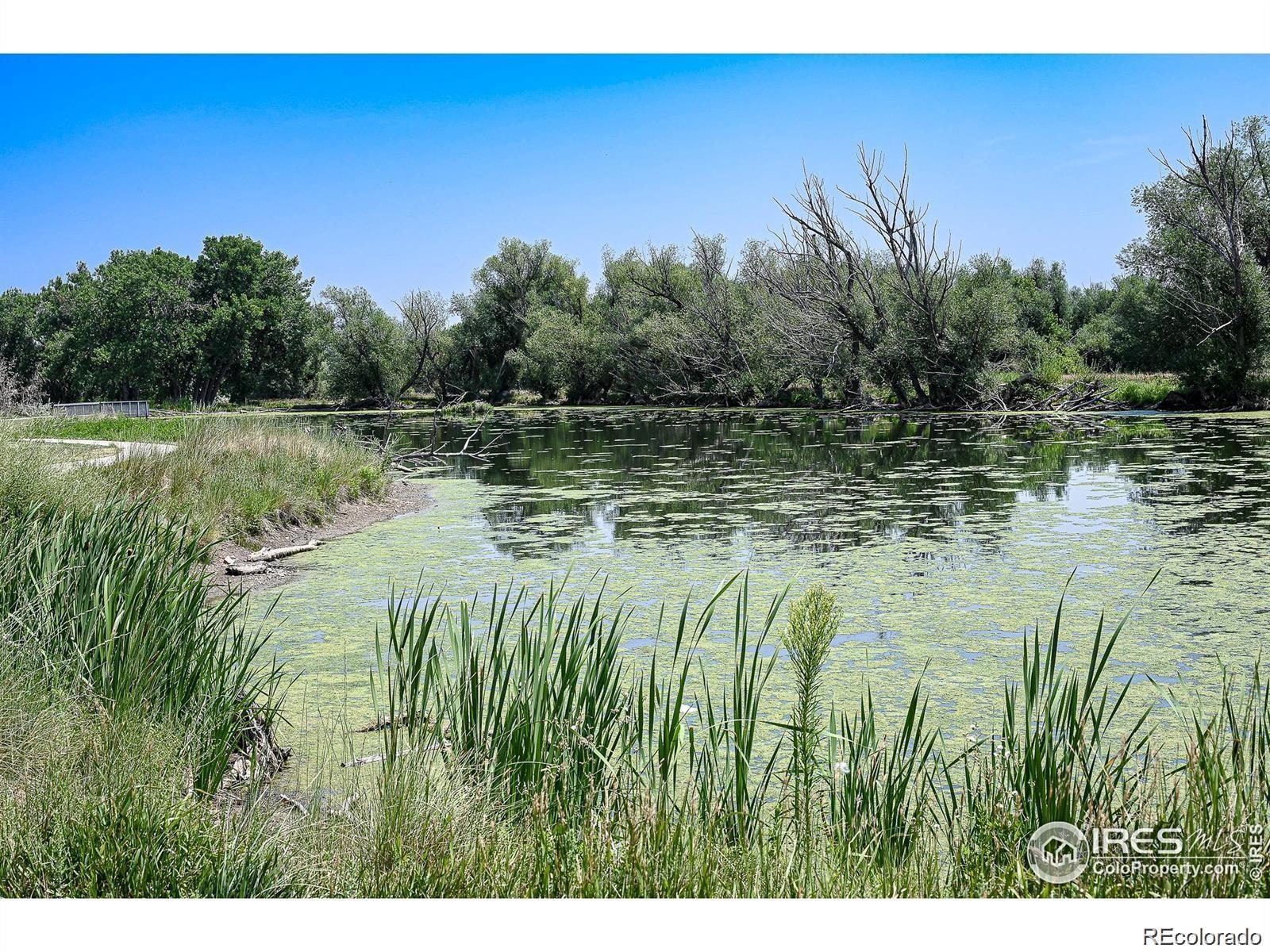 MLS Image #38 for 8745 w cornell avenue,lakewood, Colorado