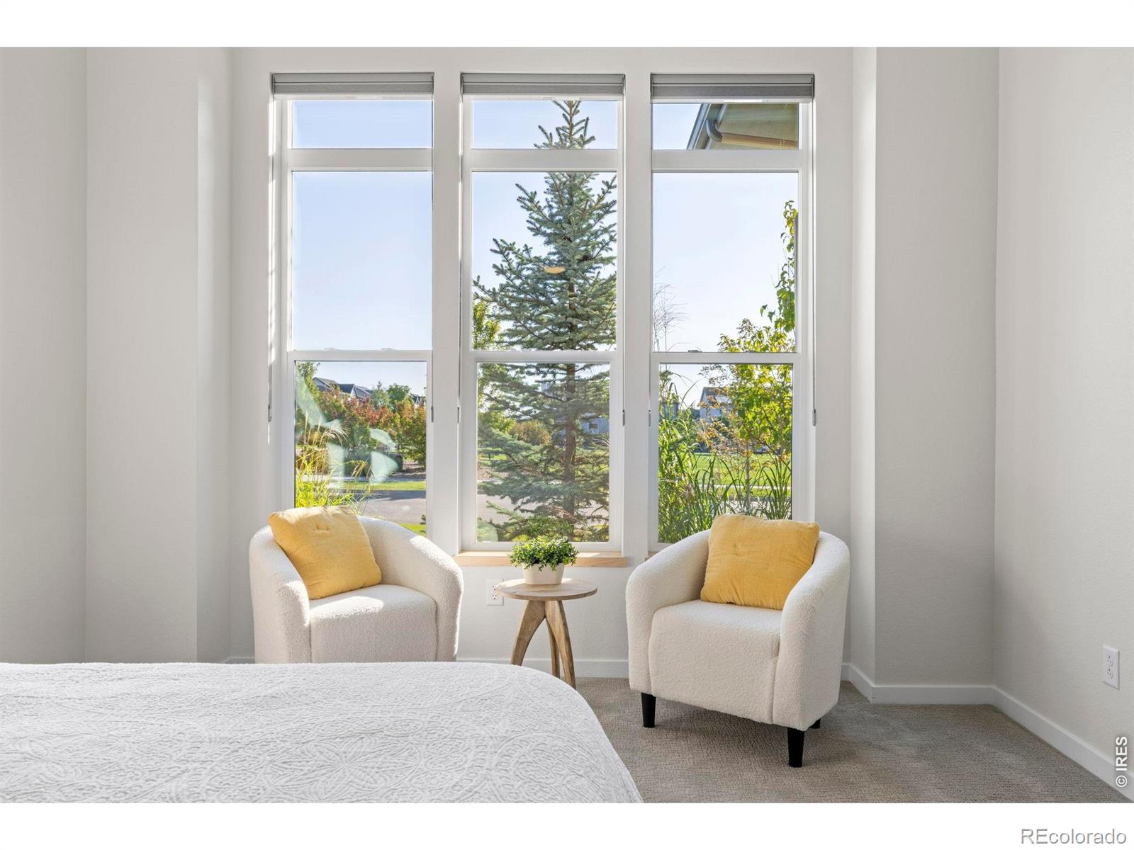 MLS Image #13 for 767 w grange court,longmont, Colorado