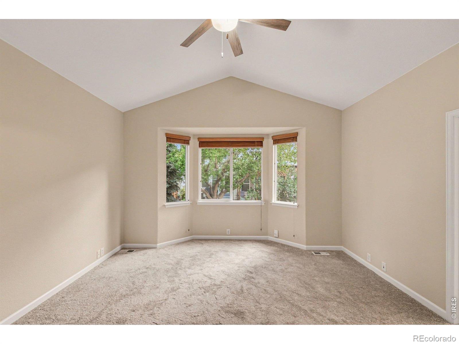 MLS Image #14 for 1710  tuscany court,longmont, Colorado