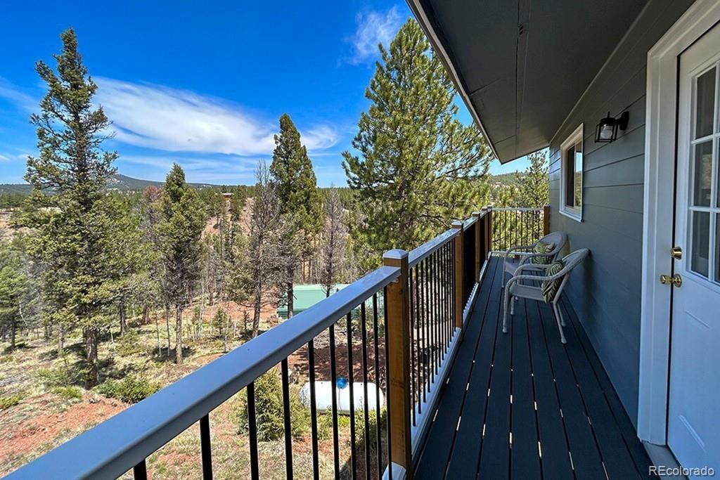 MLS Image #20 for 83  pika creek trail,florissant, Colorado