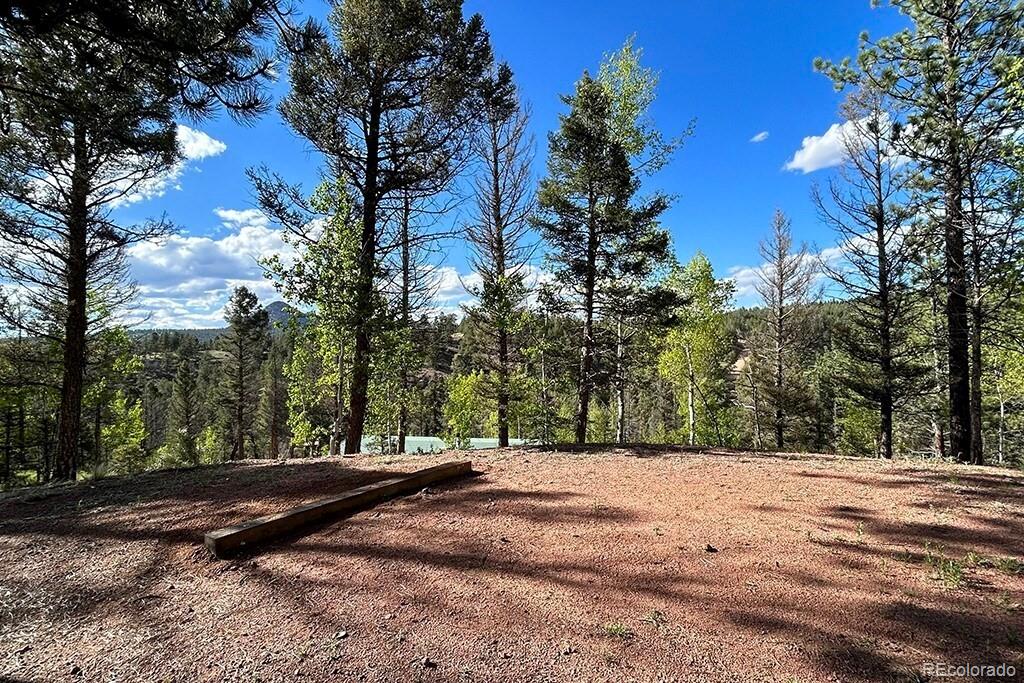 MLS Image #24 for 83  pika creek trail,florissant, Colorado
