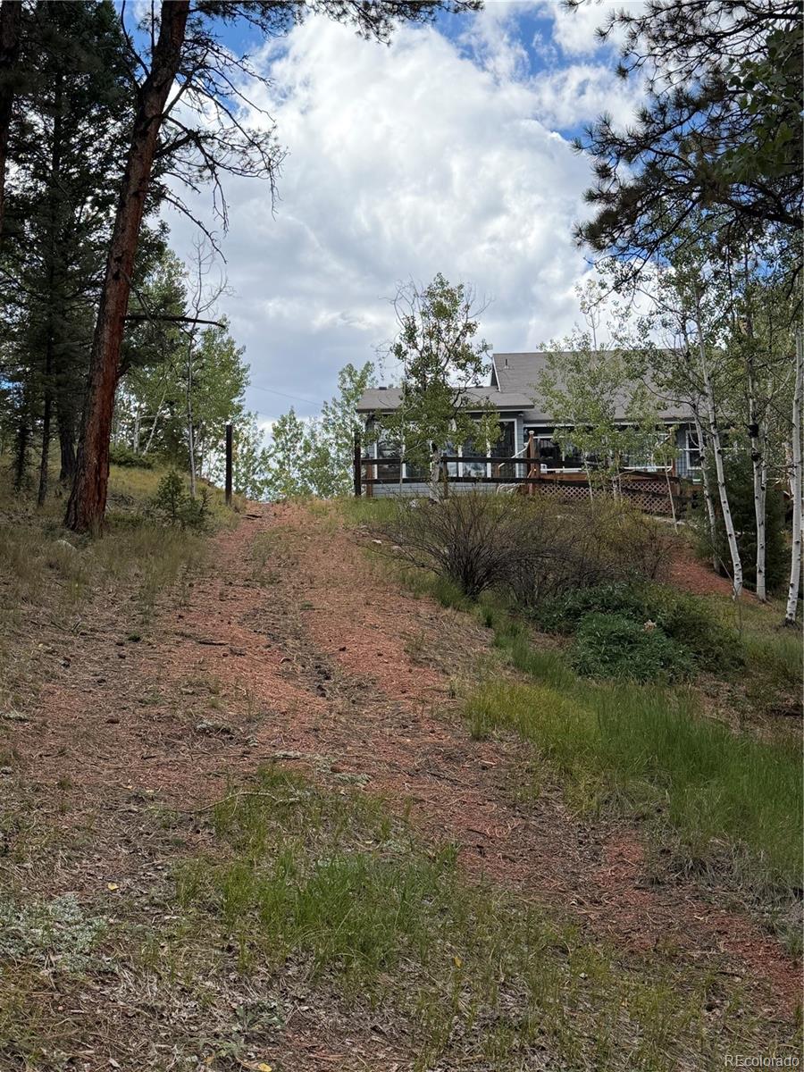 MLS Image #26 for 83  pika creek trail,florissant, Colorado