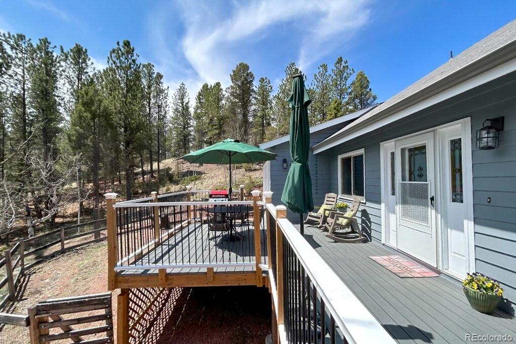 MLS Image #3 for 83  pika creek trail,florissant, Colorado