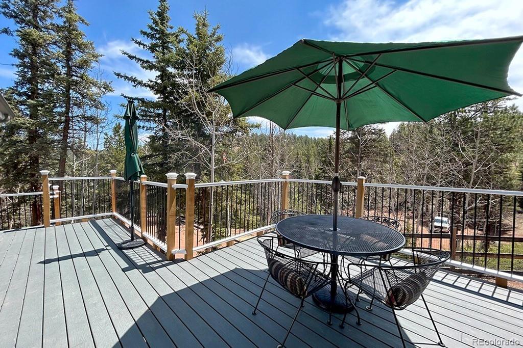 MLS Image #4 for 83  pika creek trail,florissant, Colorado