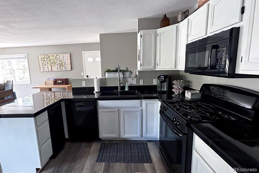 MLS Image #7 for 83  pika creek trail,florissant, Colorado